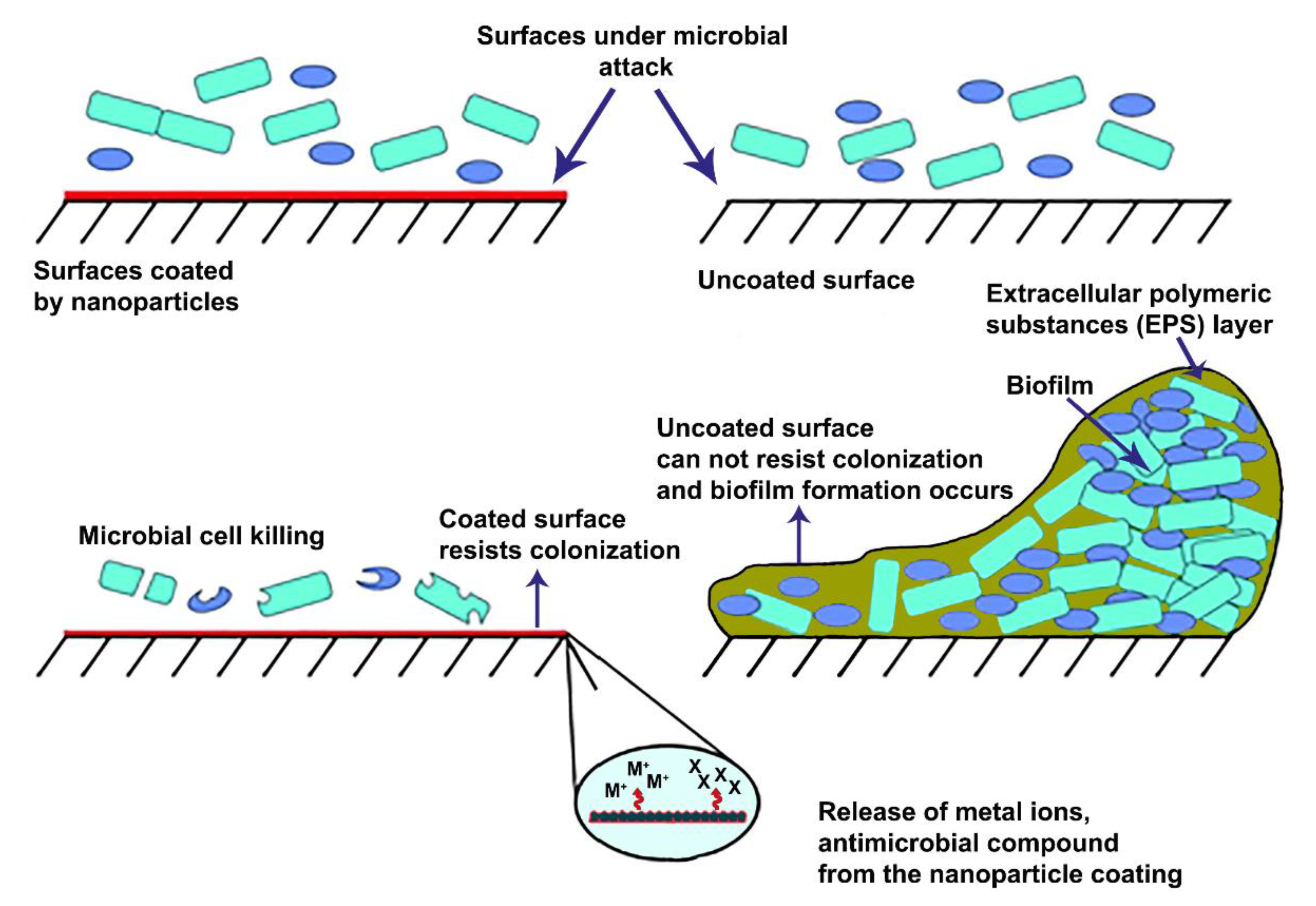Prosthesis 03 00005 g003