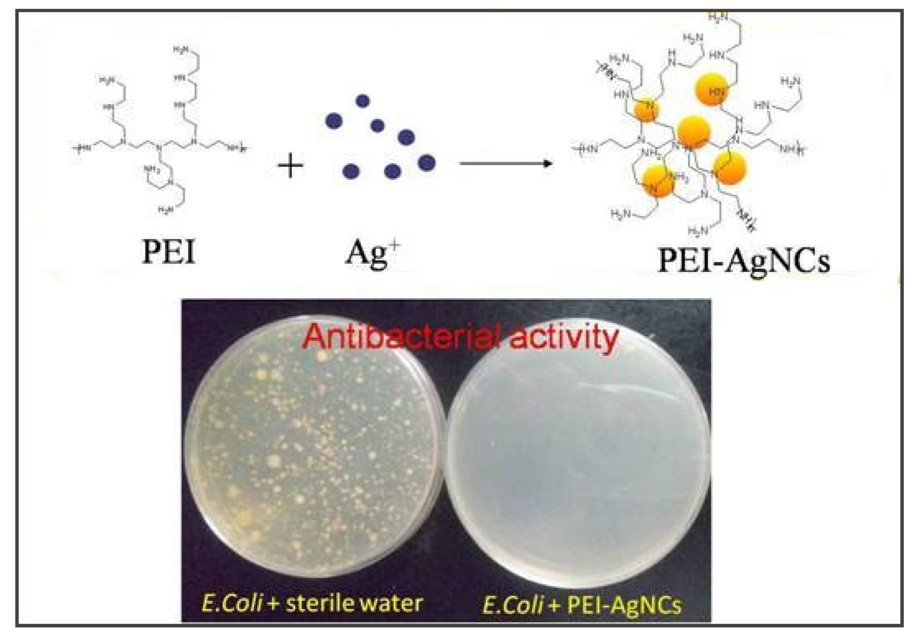 Prosthesis 03 00005 g005
