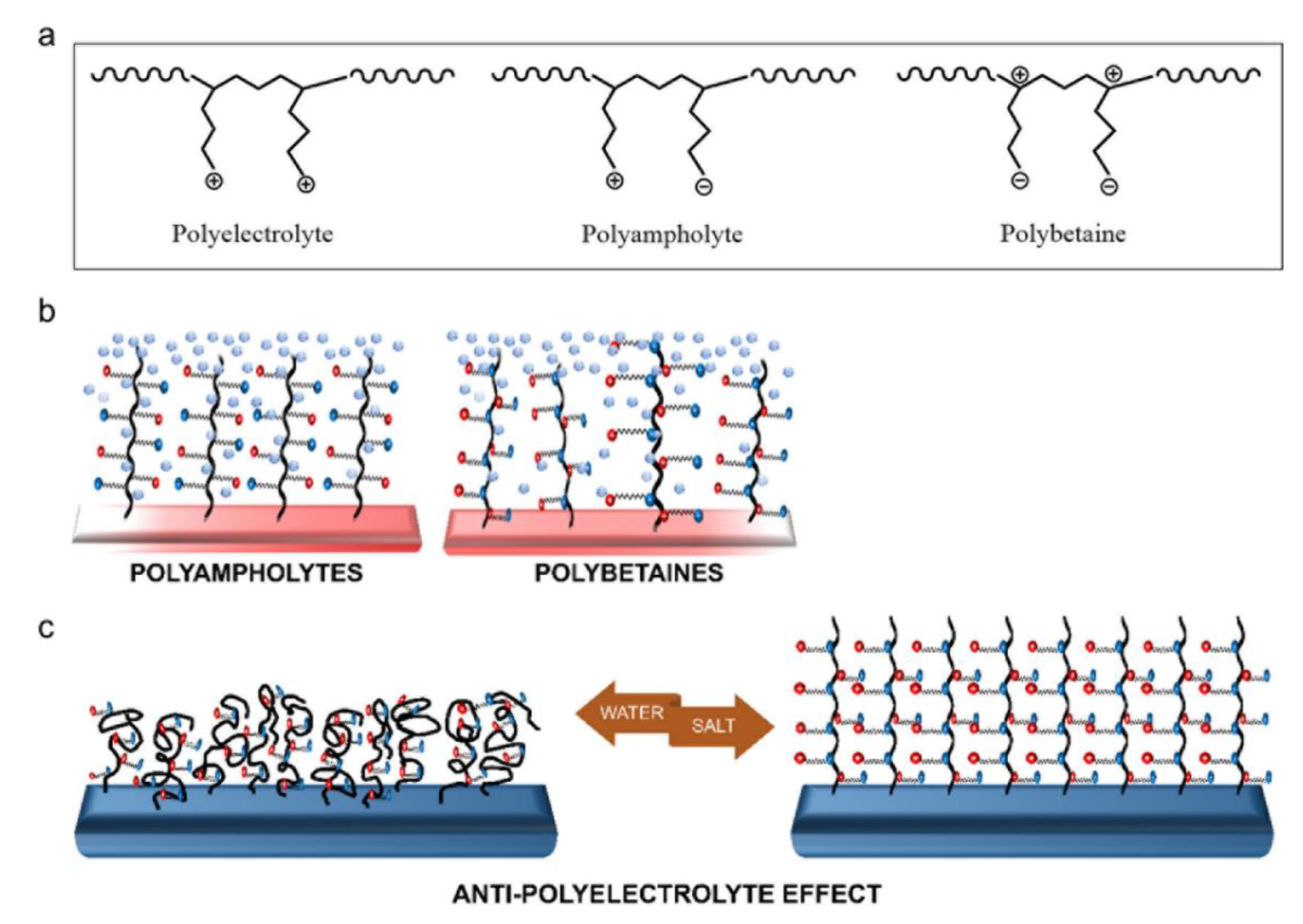 Prosthesis 03 00005 g006