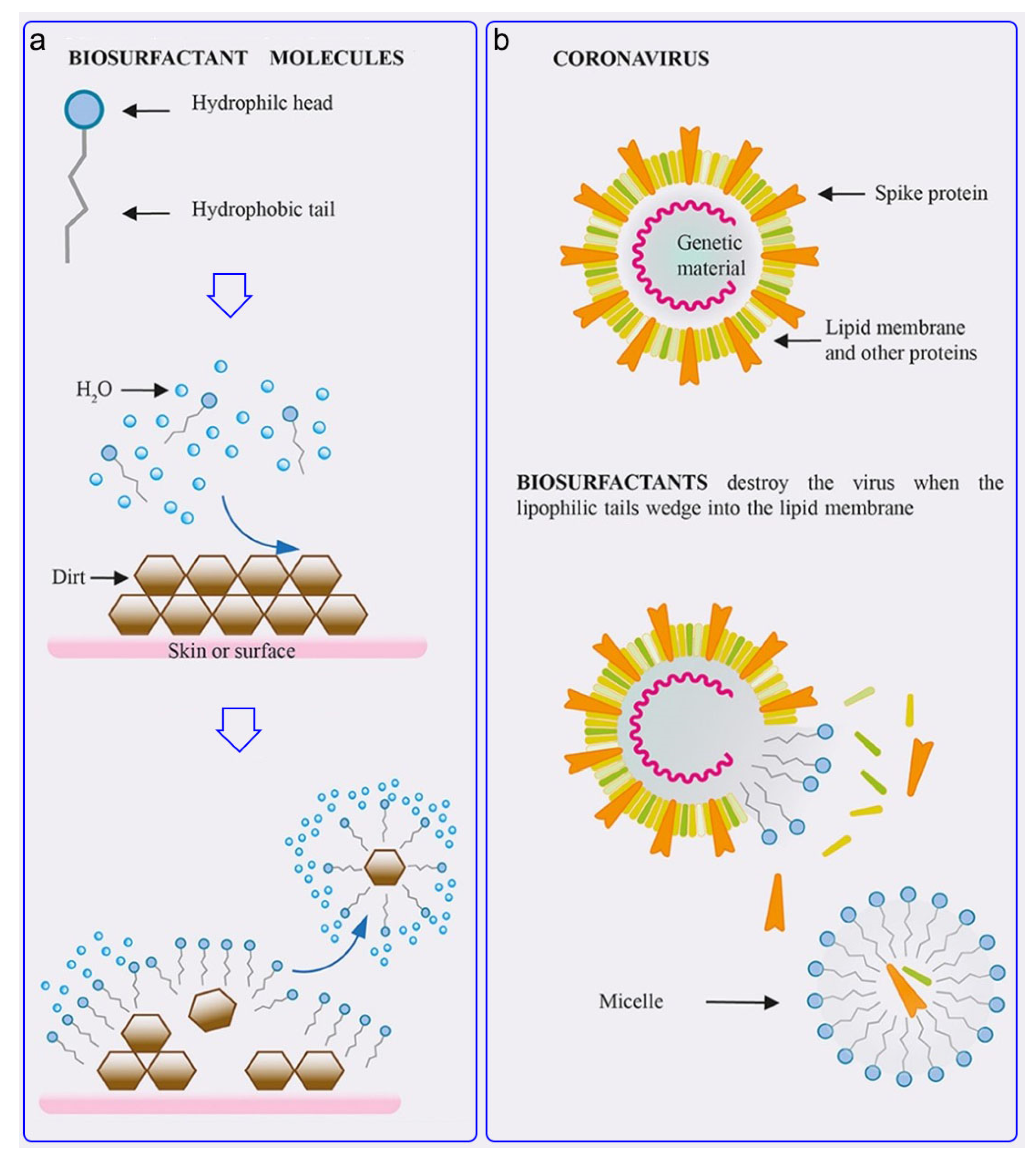 Prosthesis 03 00005 g007