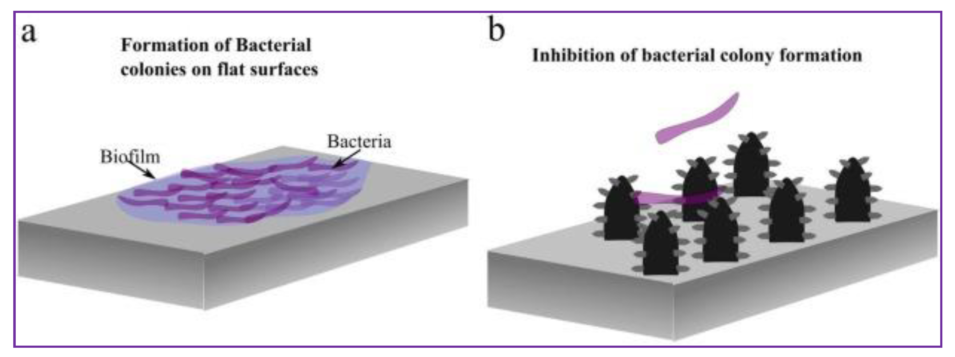 Prosthesis 03 00005 g008