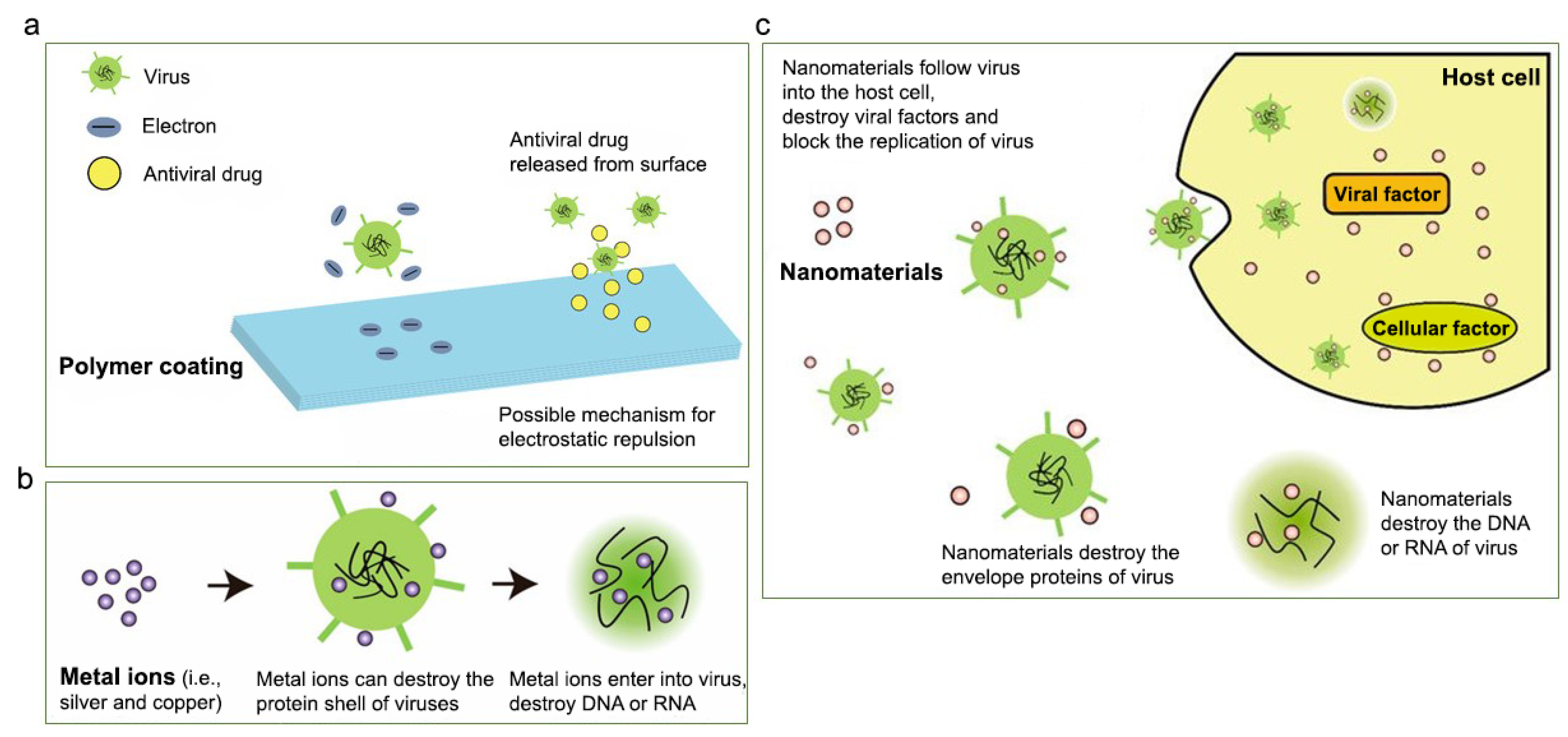 Prosthesis 03 00005 g010
