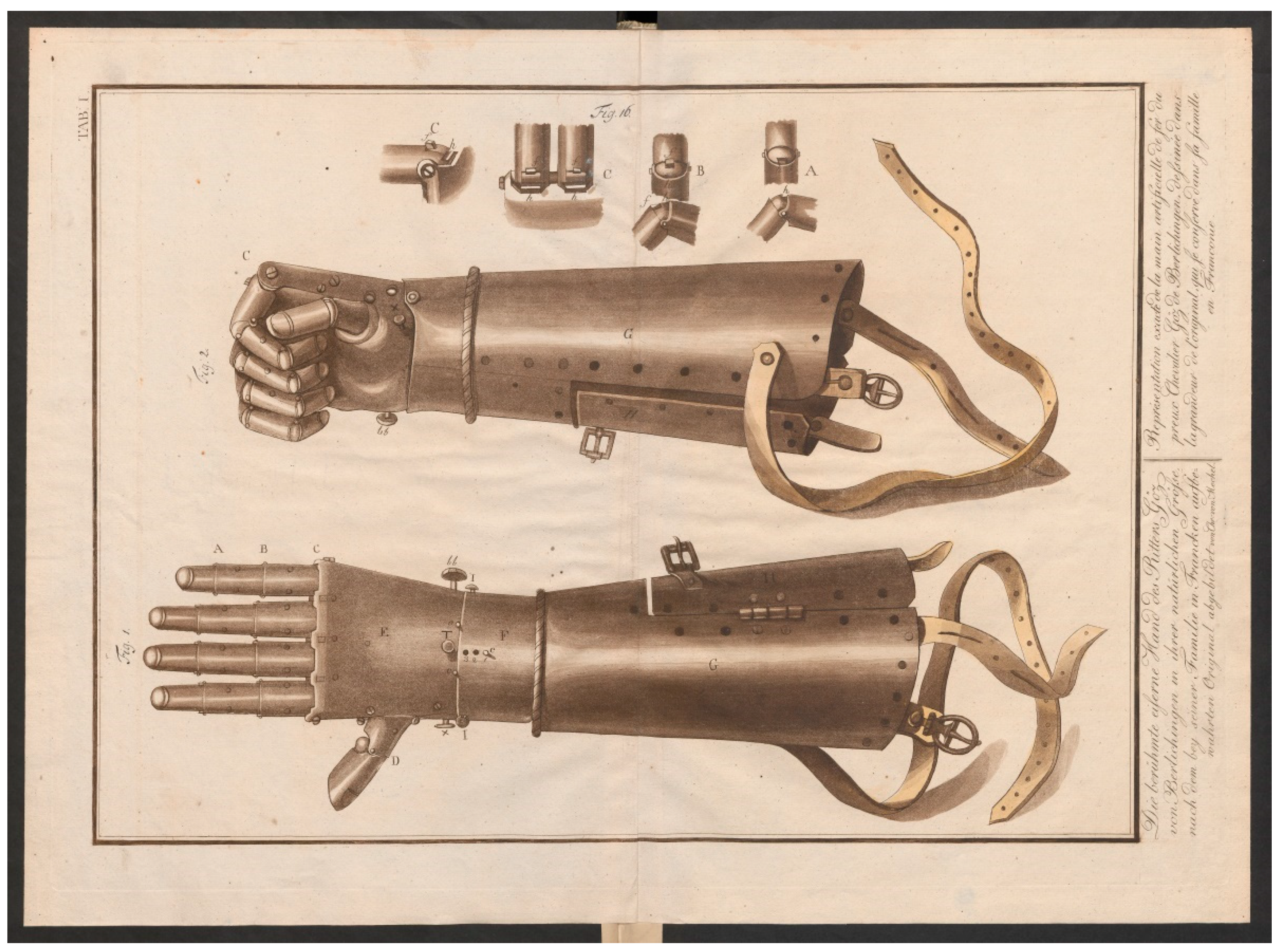 Prosthesis 03 00011 g001