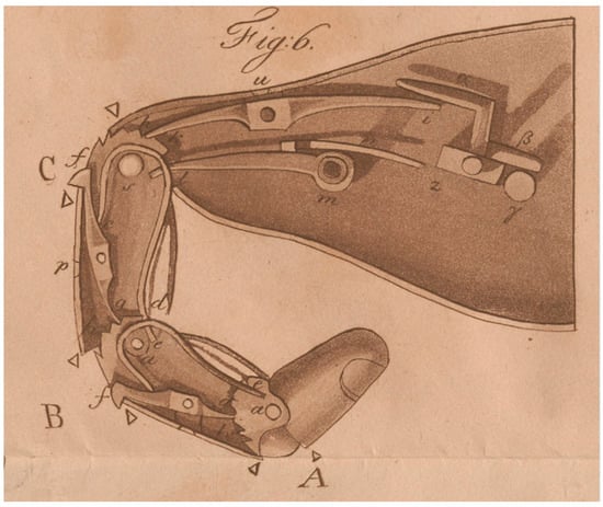 Prosthesis 03 00011 g003 550