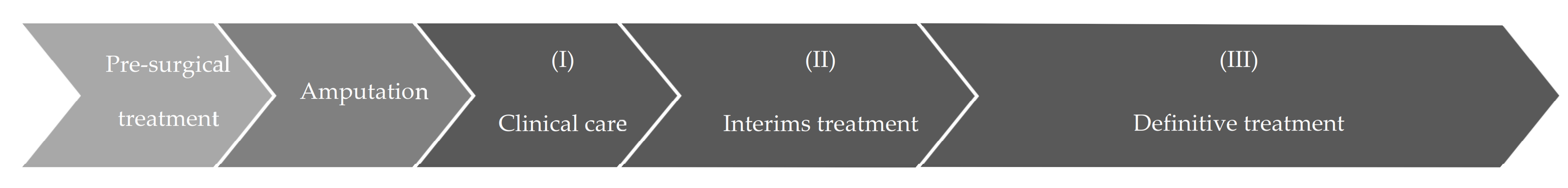 Prosthesis 03 00015 g001