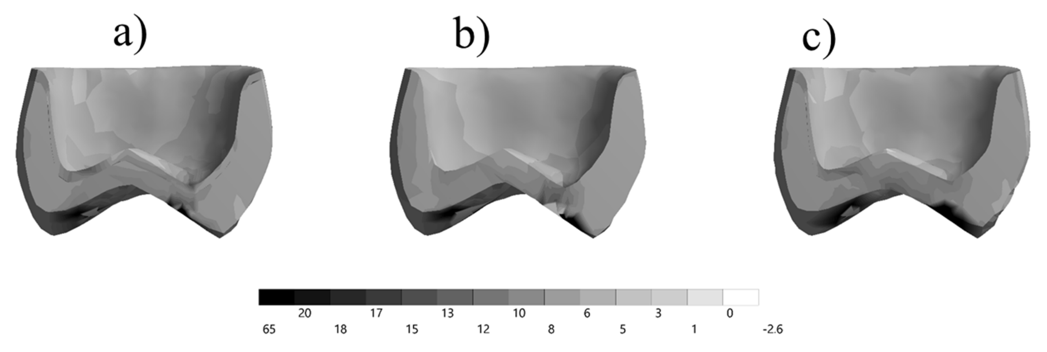 Prosthesis 03 00017 g006