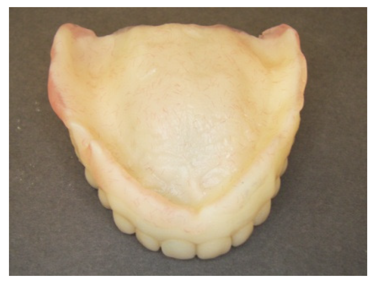 Prosthesis 03 00023 g013