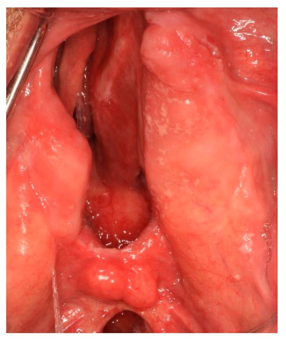 Prosthesis 03 00034 g002