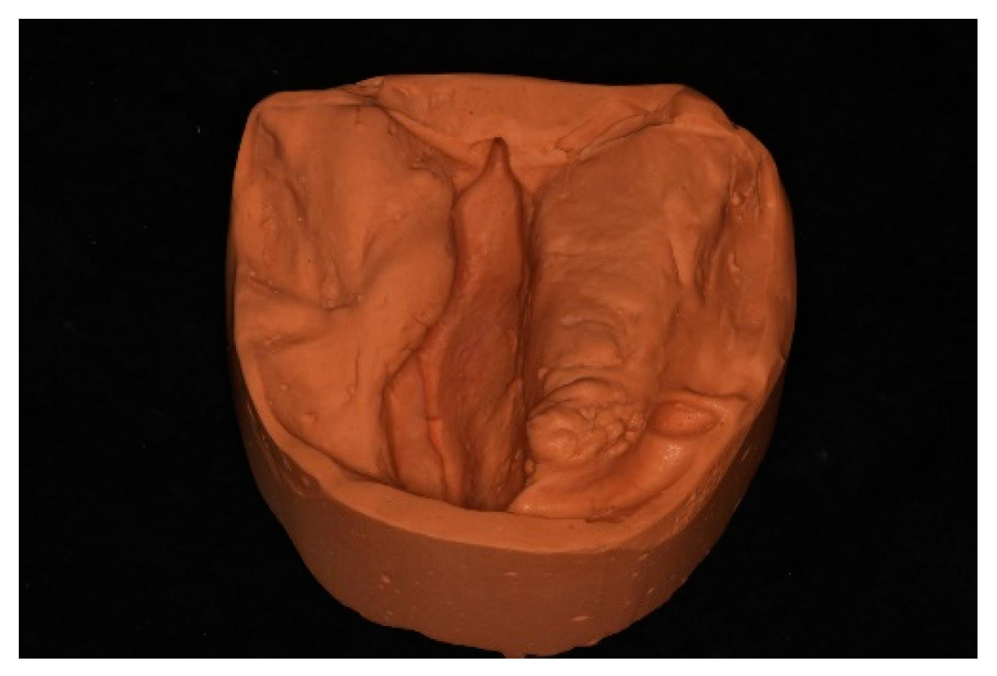 Prosthesis 03 00034 g003