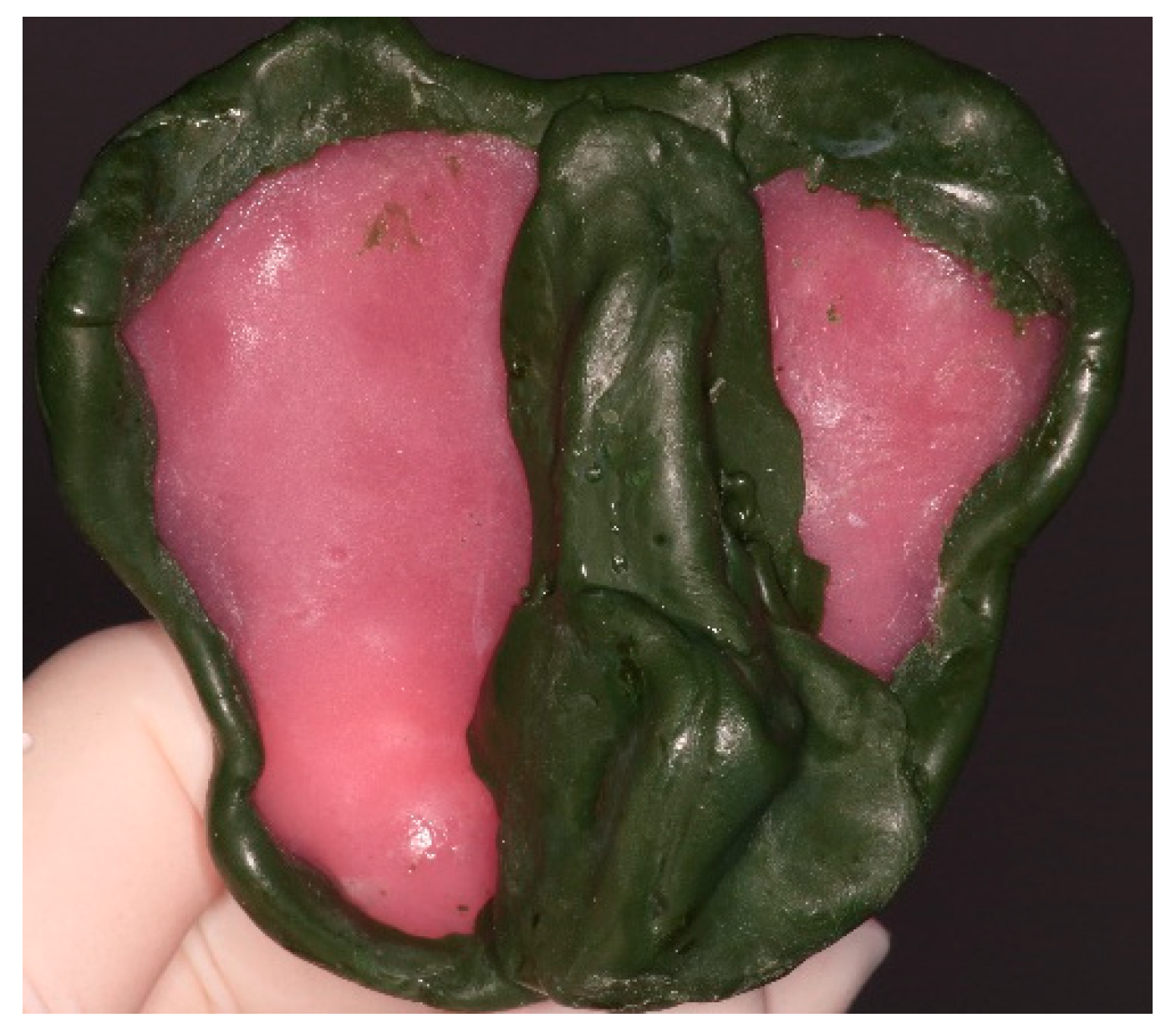 Prosthesis 03 00034 g004