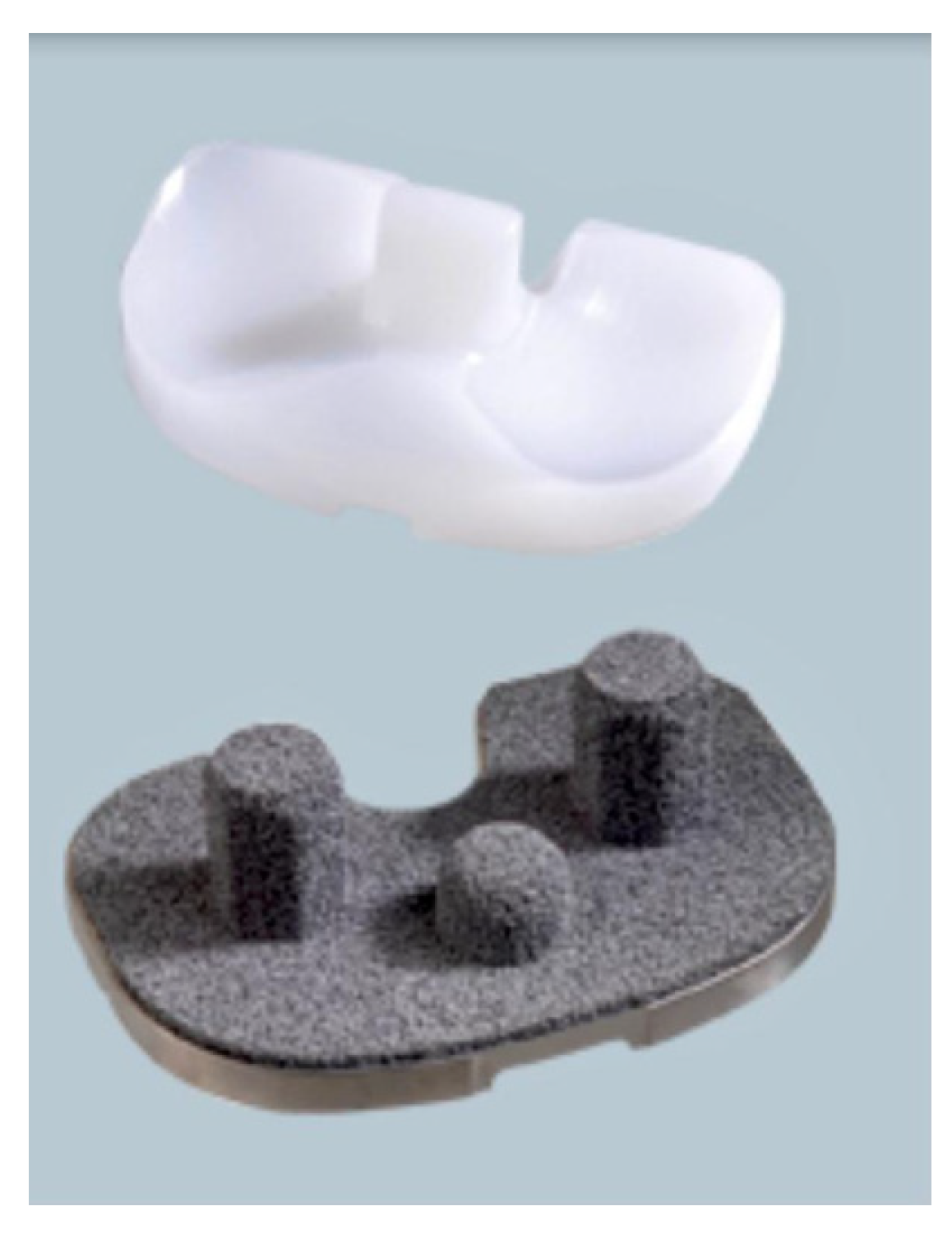 Prosthesis 04 00016 g001