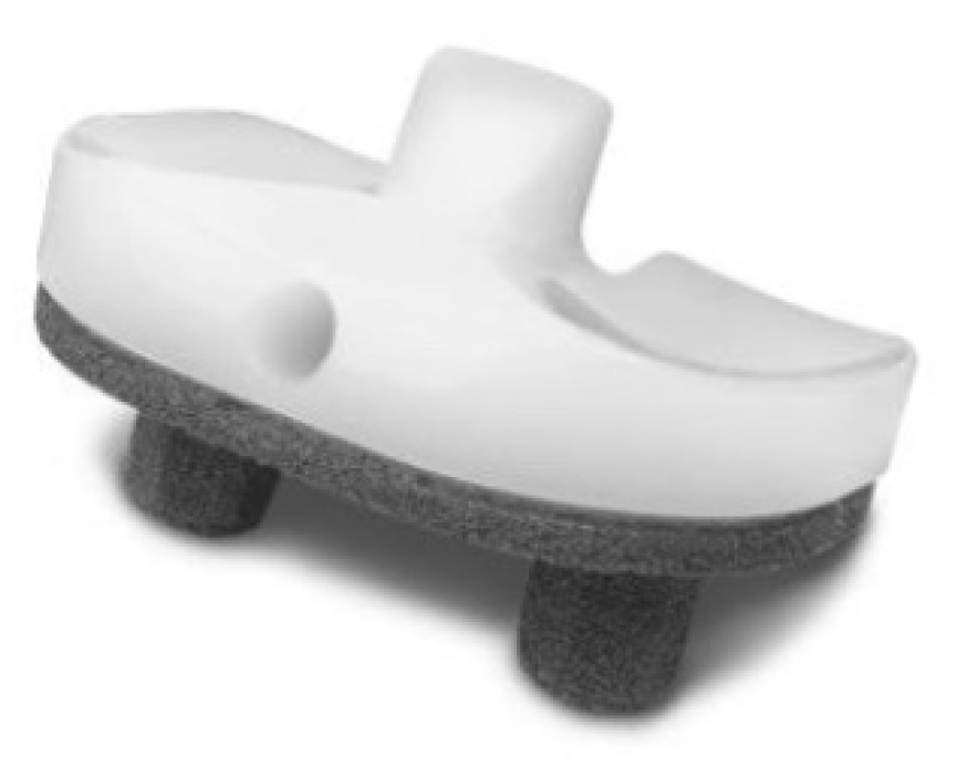 Prosthesis 04 00016 g002