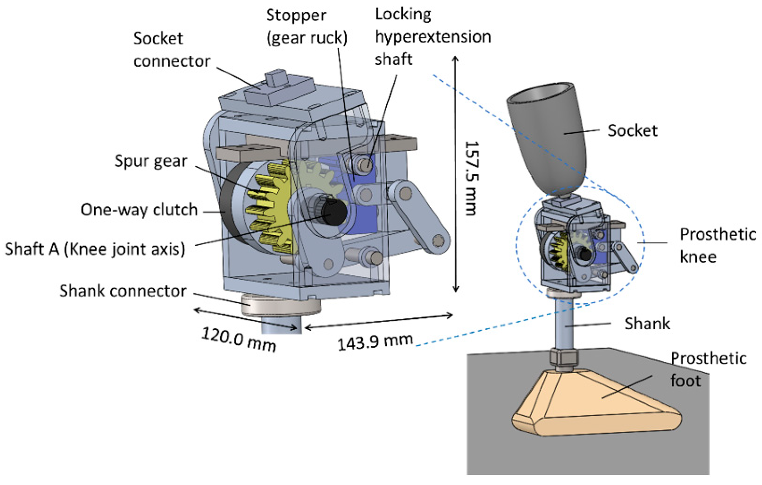 Prosthesis 04 00018 g001