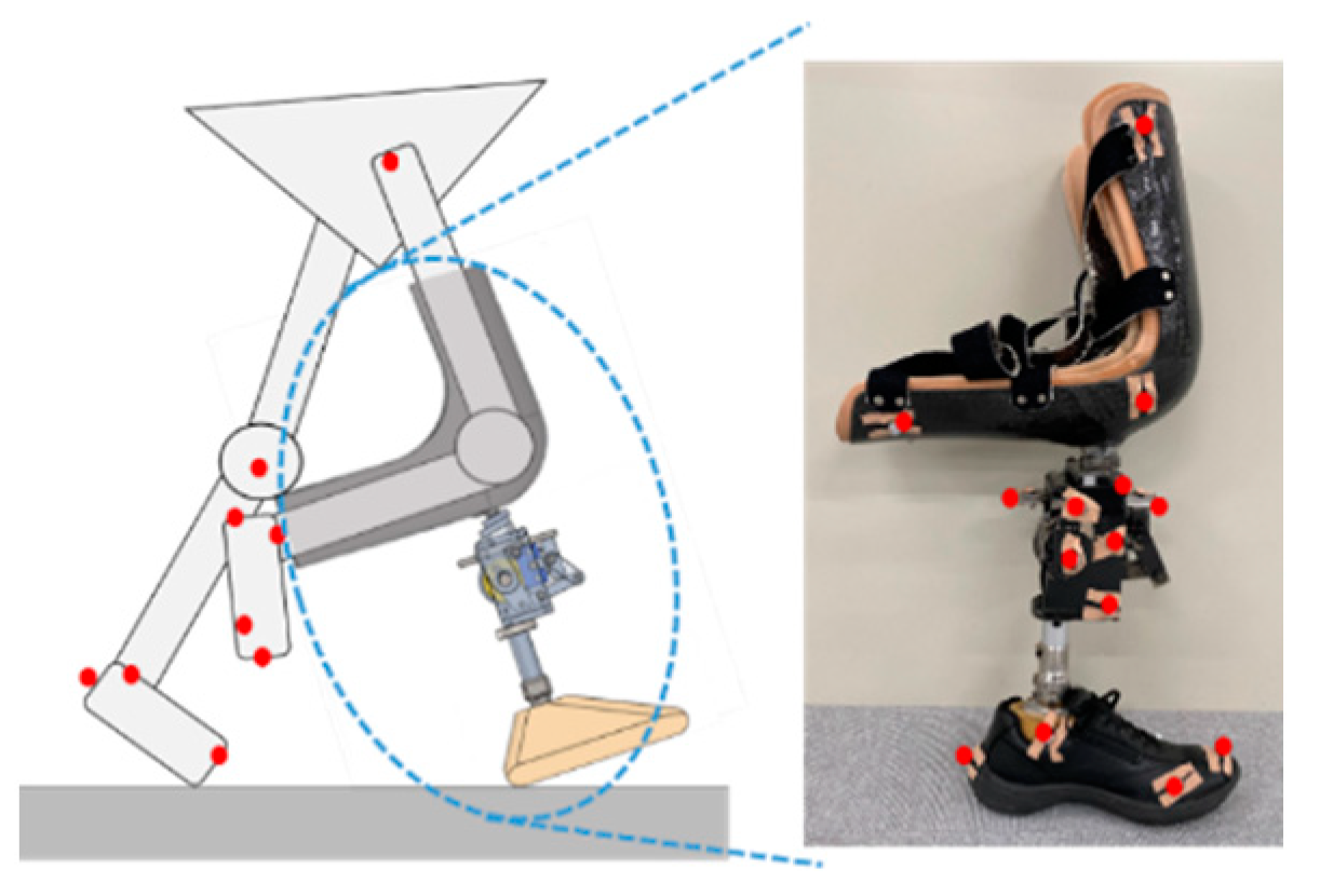 Prosthesis 04 00018 g005