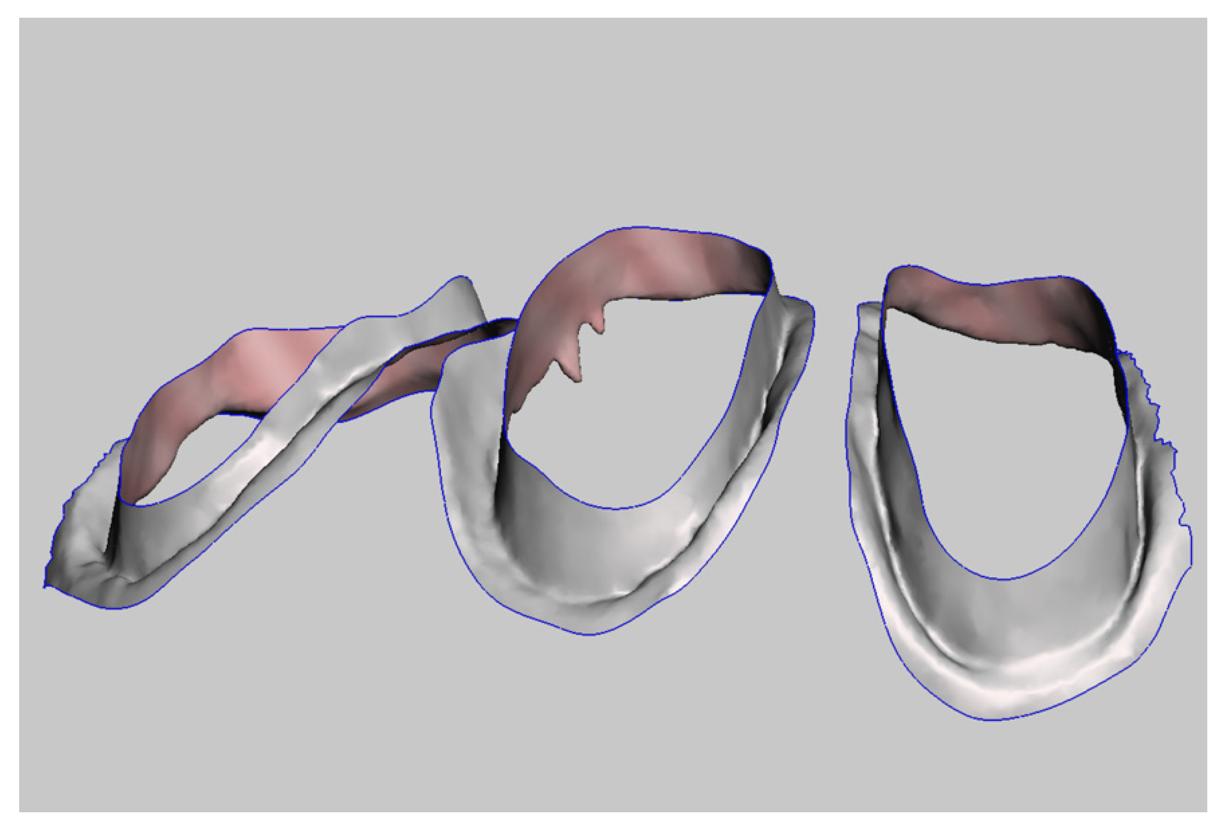 Prosthesis 04 00023 g013