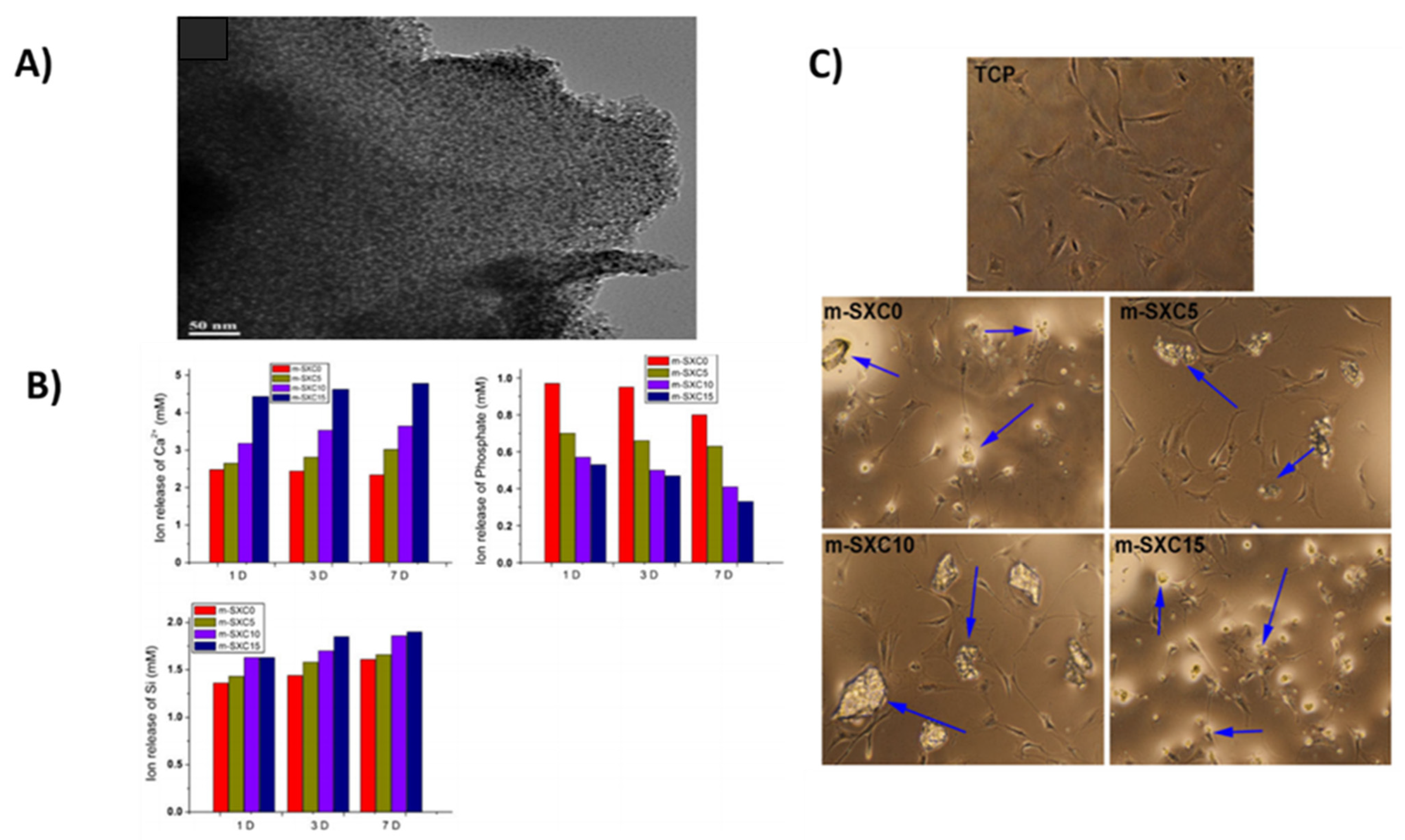 Prosthesis 04 00026 g005 Prosthesis 04 00026 g005