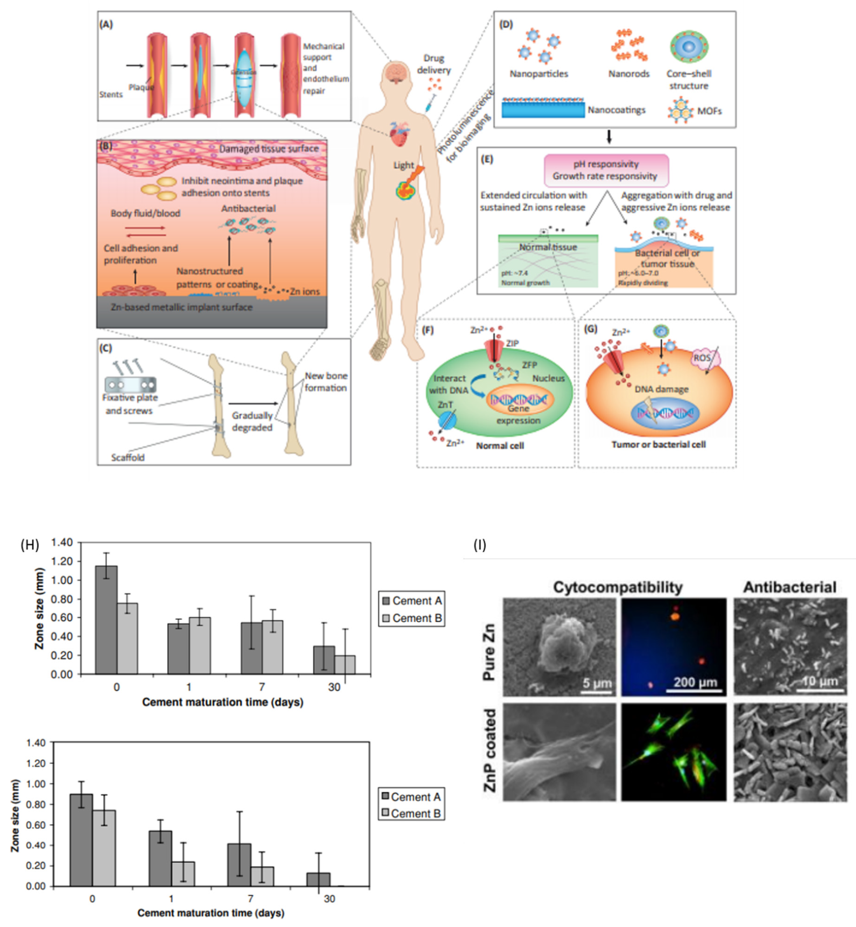 Prosthesis 04 00026 g013 Prosthesis 04 00026 g013