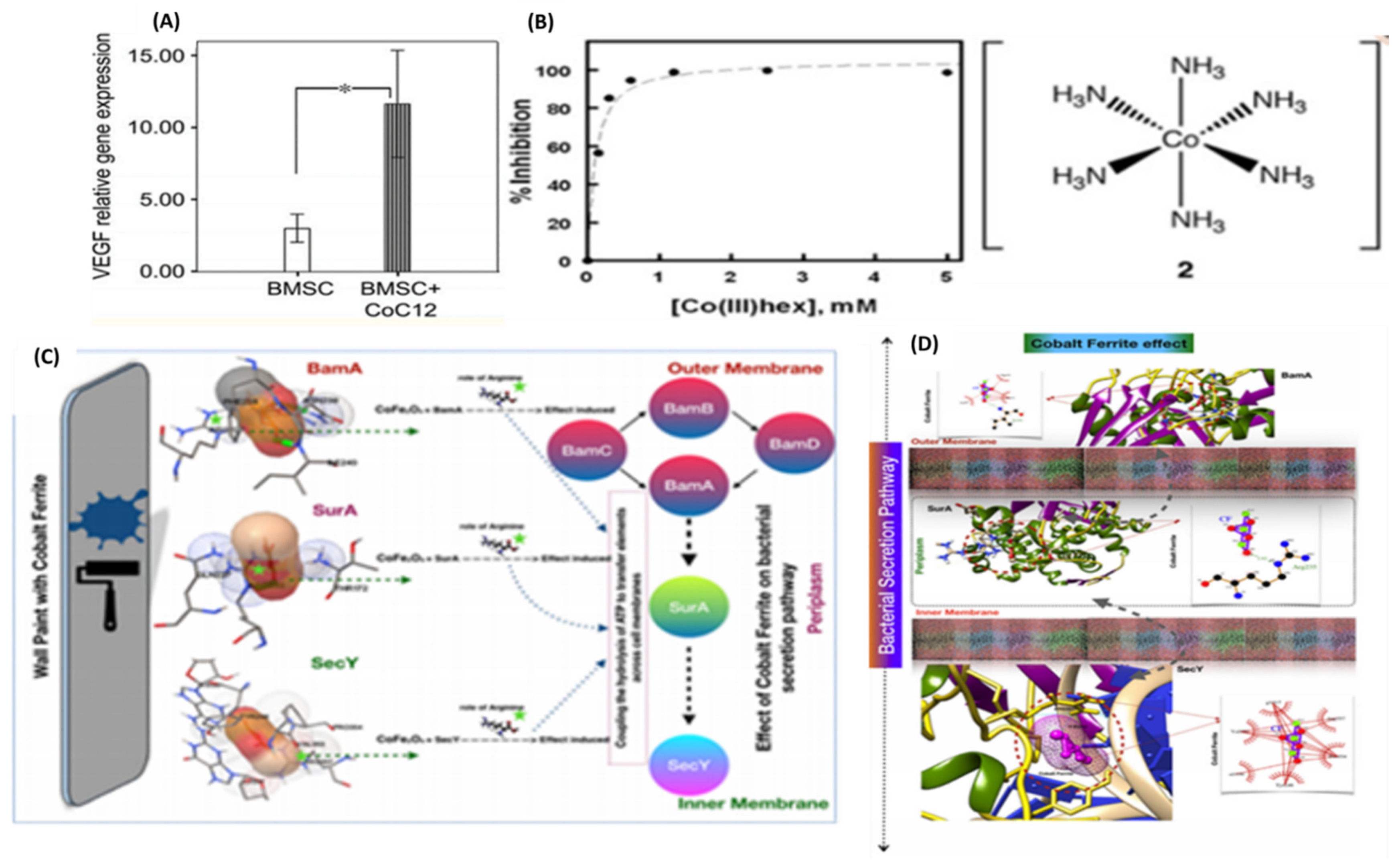 Prosthesis 04 00026 g015 Prosthesis 04 00026 g015