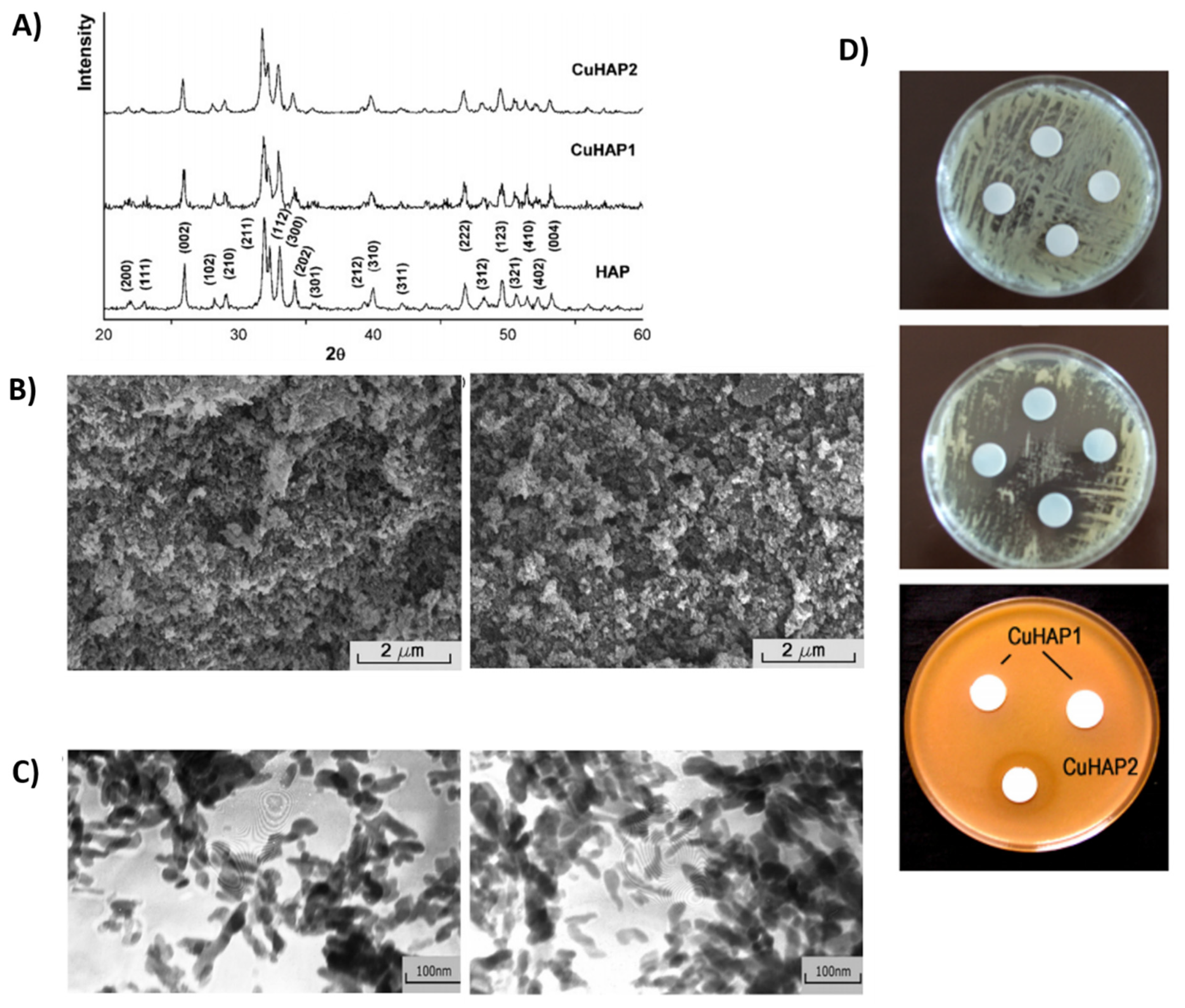 Prosthesis 04 00026 g016 Prosthesis 04 00026 g016