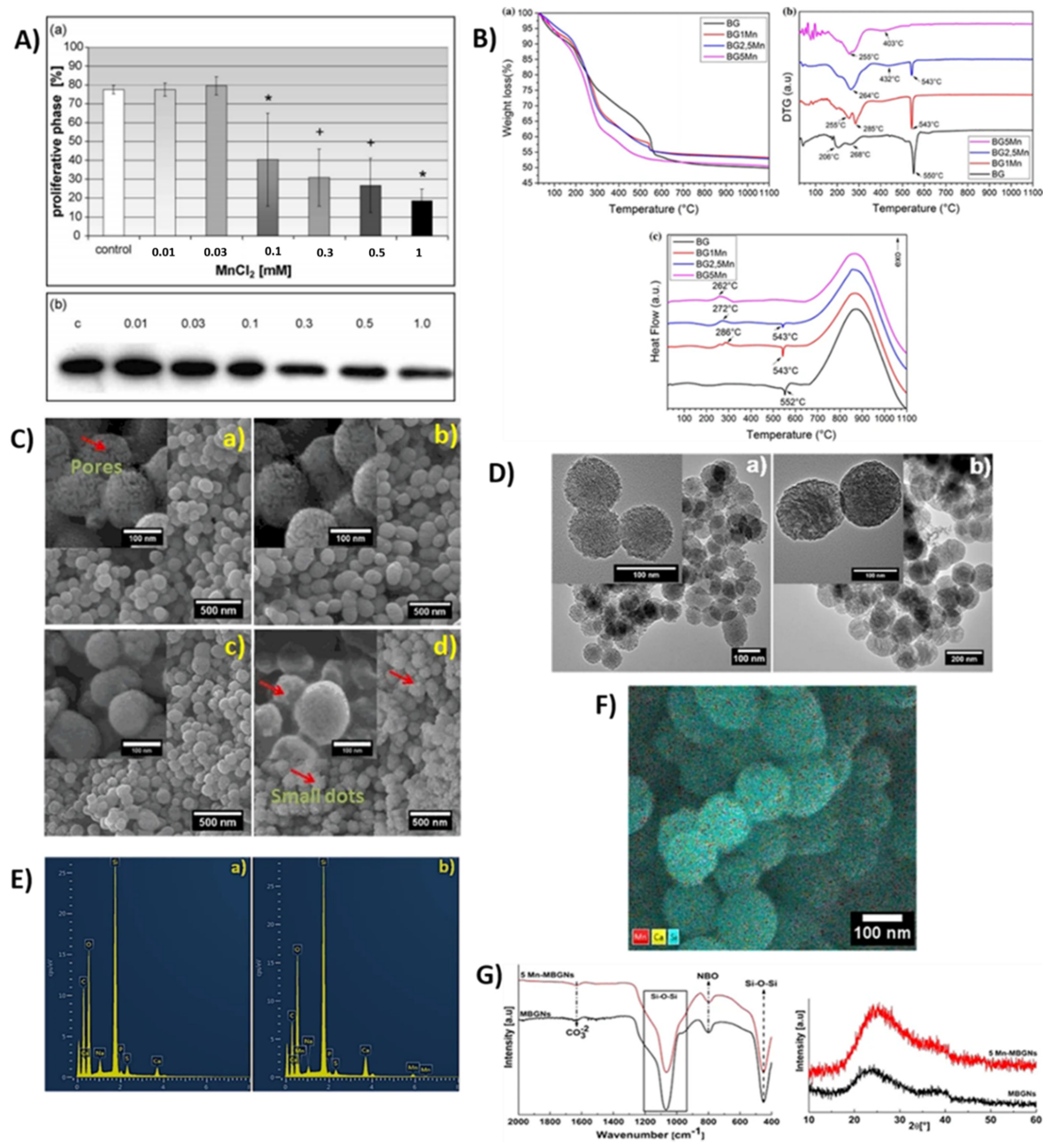 Prosthesis 04 00026 g017 Prosthesis 04 00026 g017