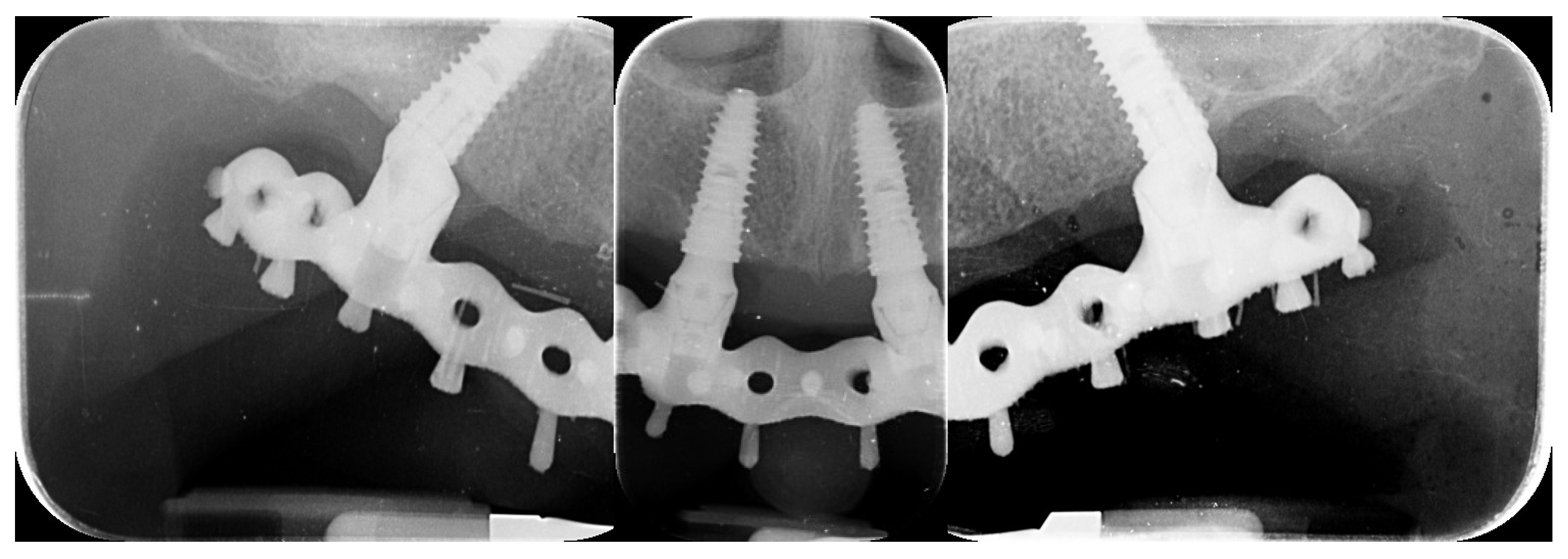 Prosthesis 04 00029 g022 Prosthesis 04 00029 g022