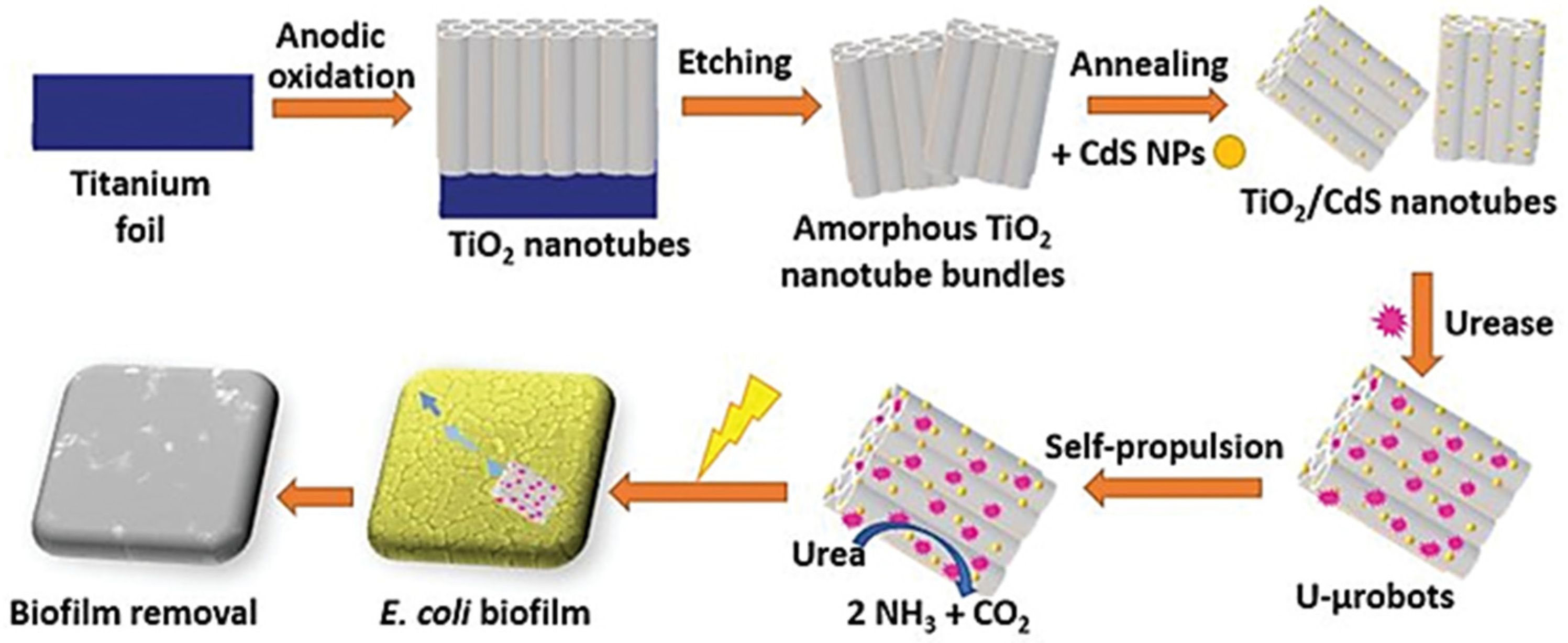 Prosthesis 04 00034 g004