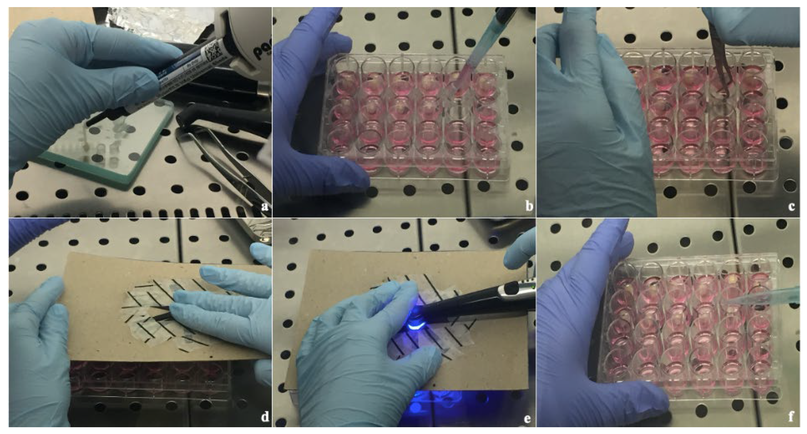 Prosthesis 04 00036 g001 Prosthesis 04 00036 g001