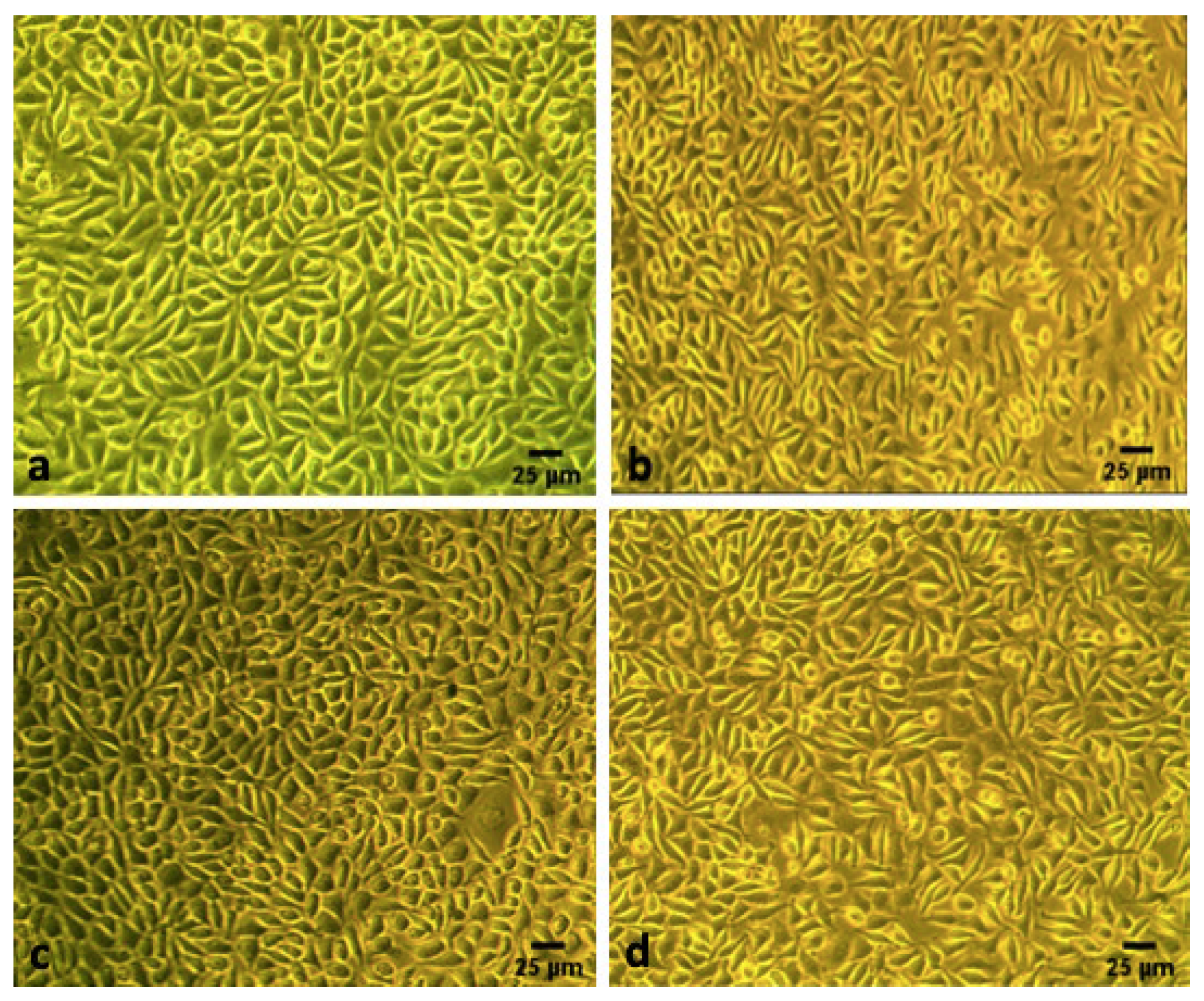 Prosthesis 04 00036 g003 Prosthesis 04 00036 g003