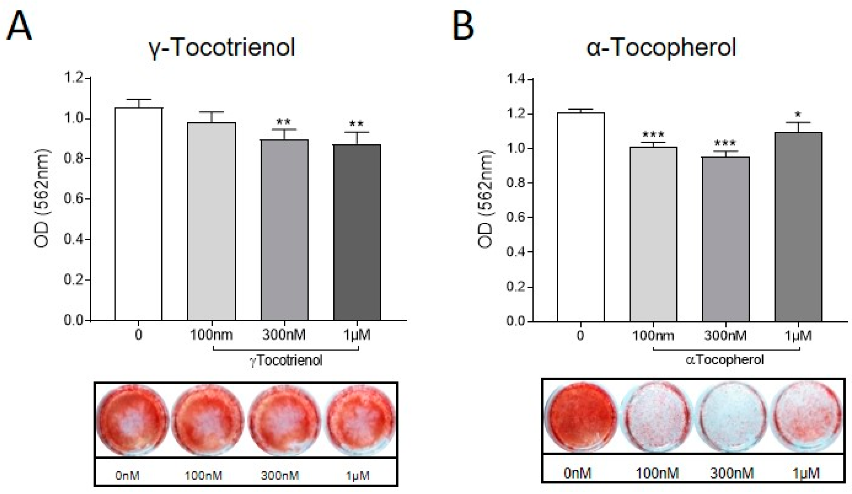 Prosthesis 04 00039 g004