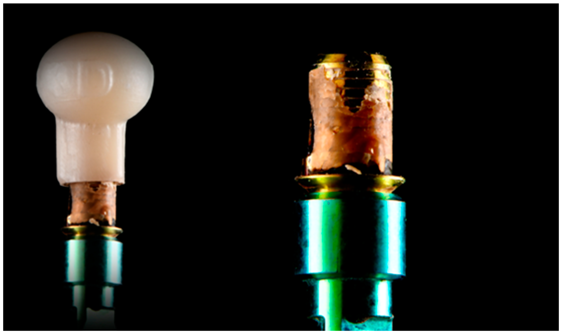 Prosthesis 04 00041 g004