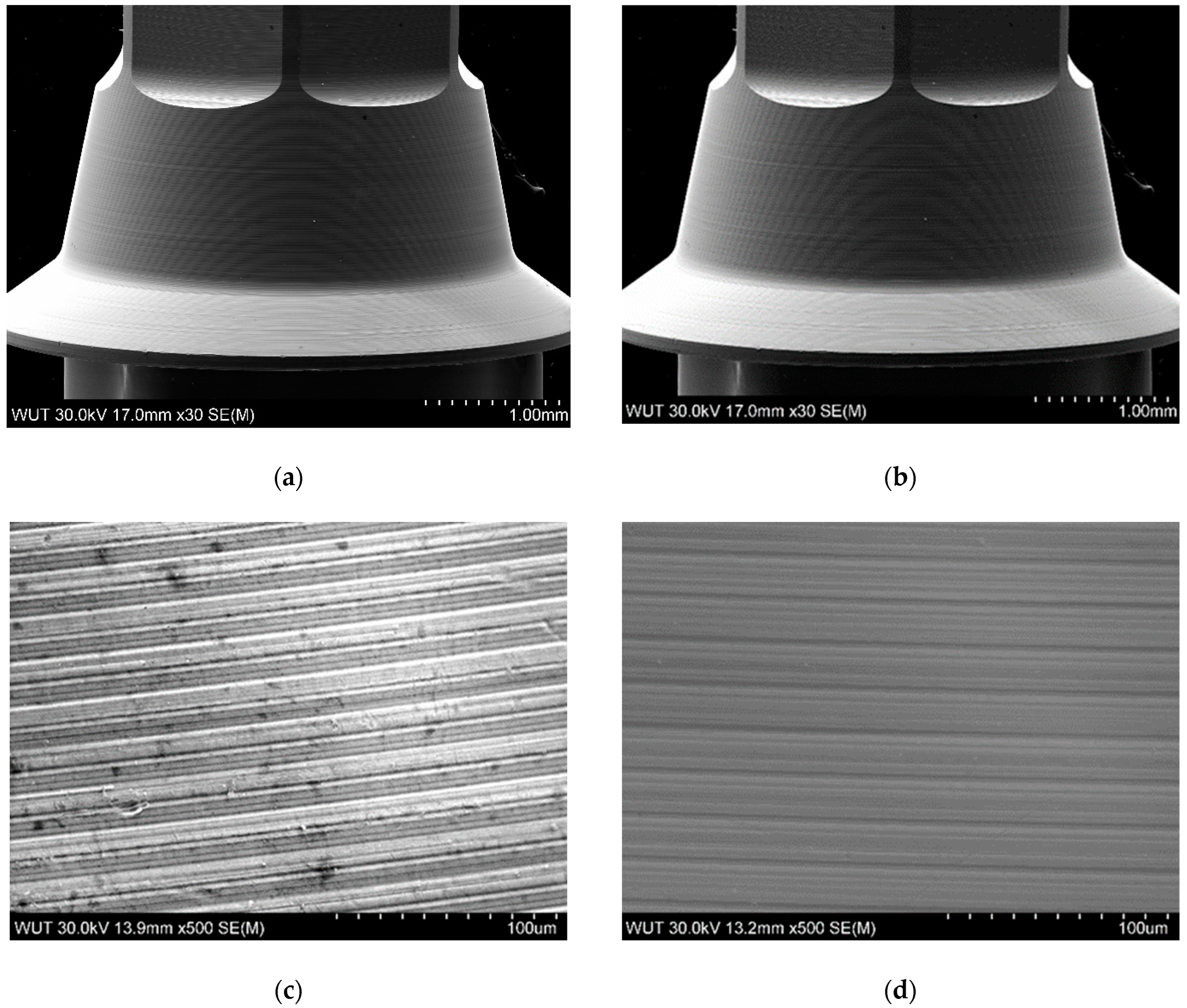 Prosthesis 04 00041 g006