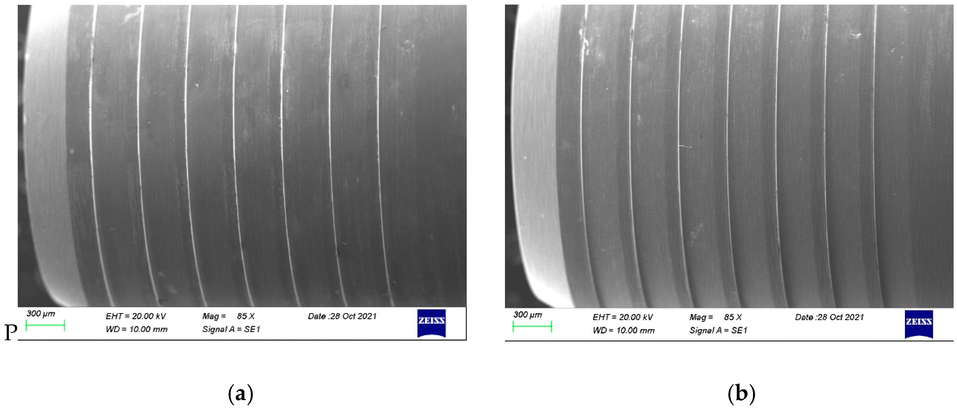 Prosthesis 04 00041 g007a