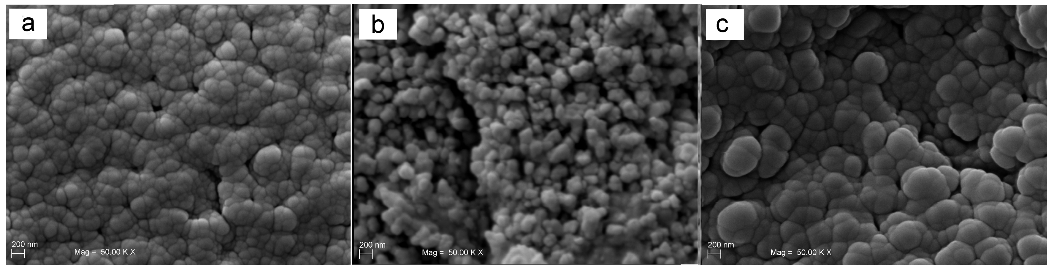 Prosthesis 05 00004 g002 Prosthesis 05 00004 g002