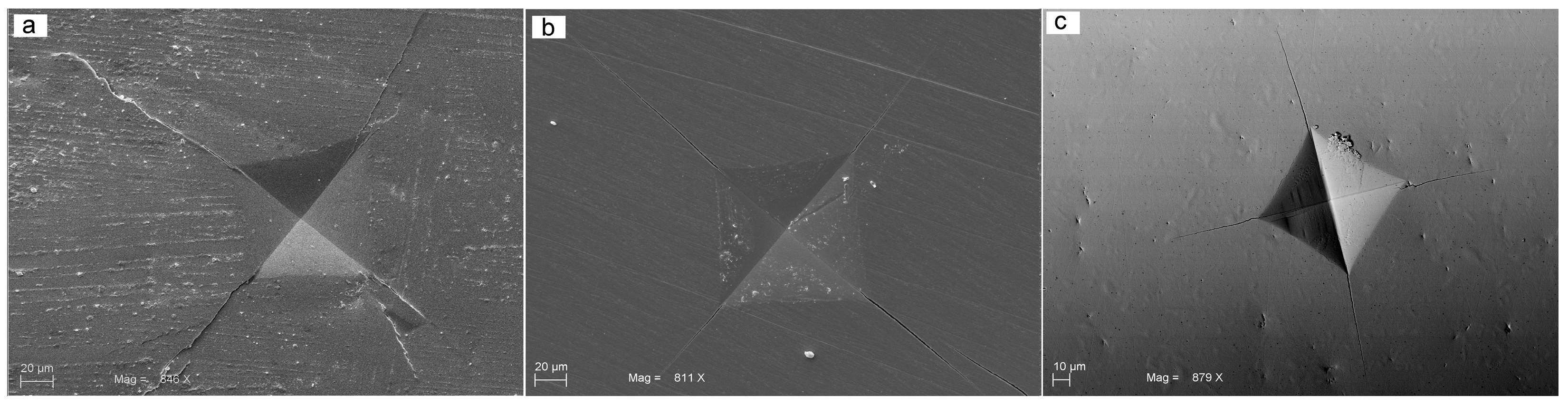 Prosthesis 05 00004 g004 Prosthesis 05 00004 g004