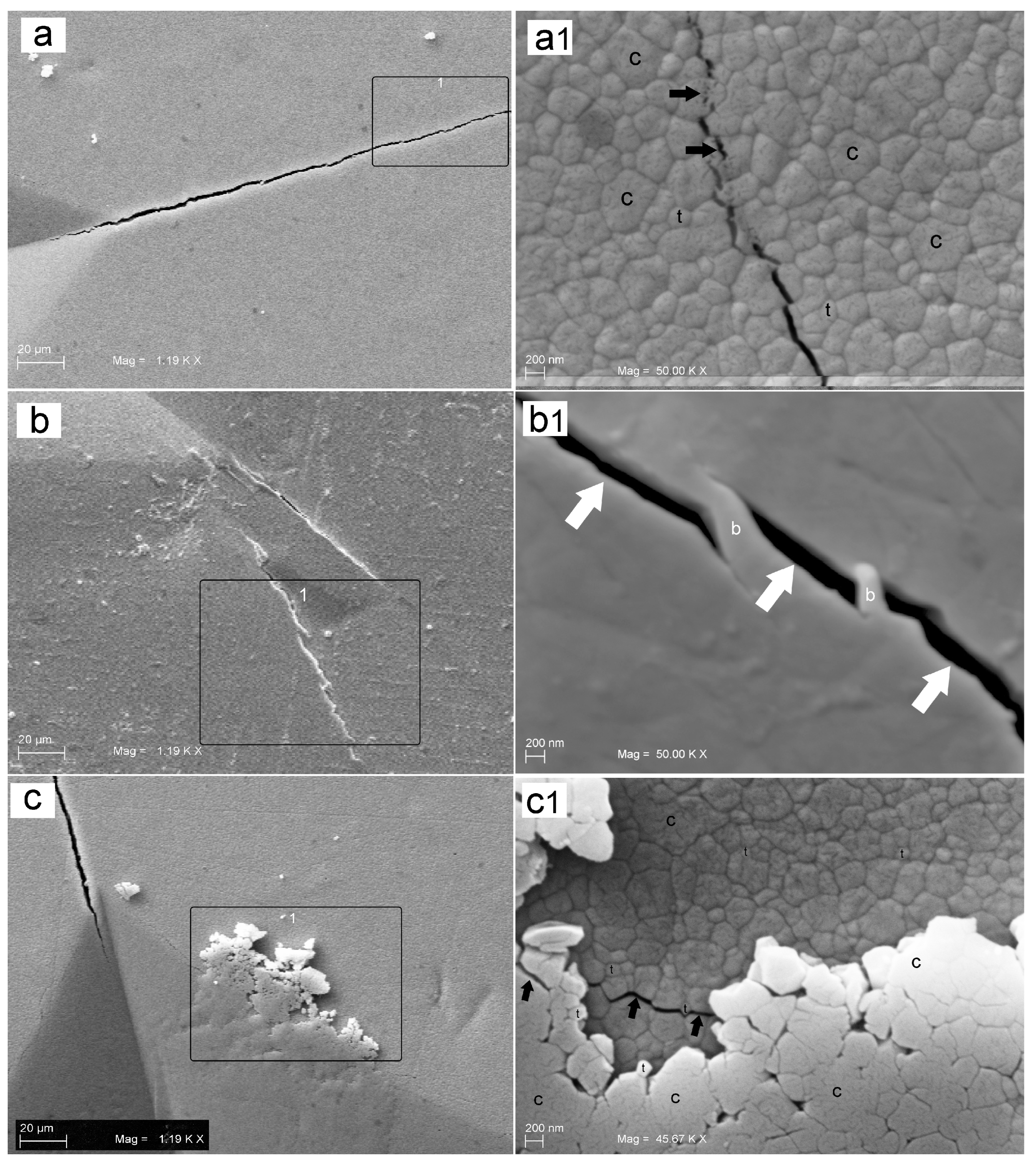 Prosthesis 05 00004 g007 Prosthesis 05 00004 g007