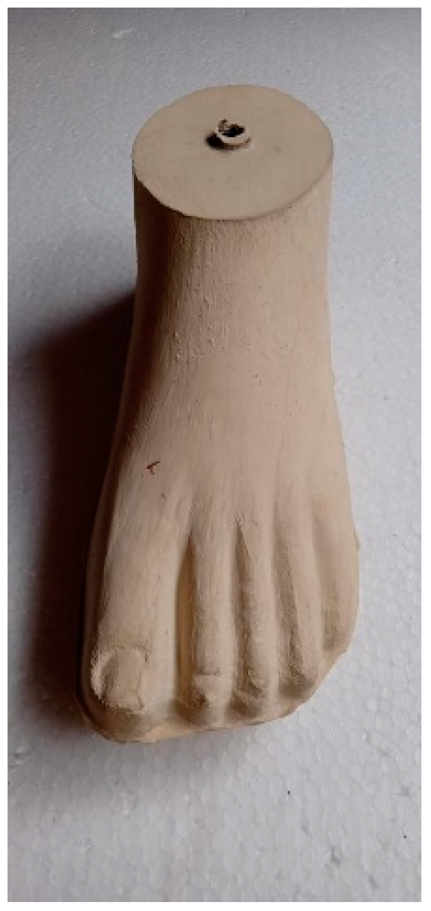 Prosthesis 05 00007 g001