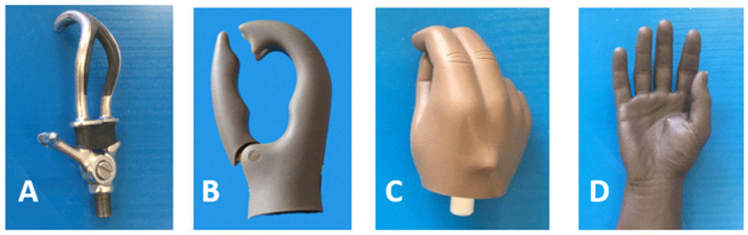 Prosthesis 05 00011 g001