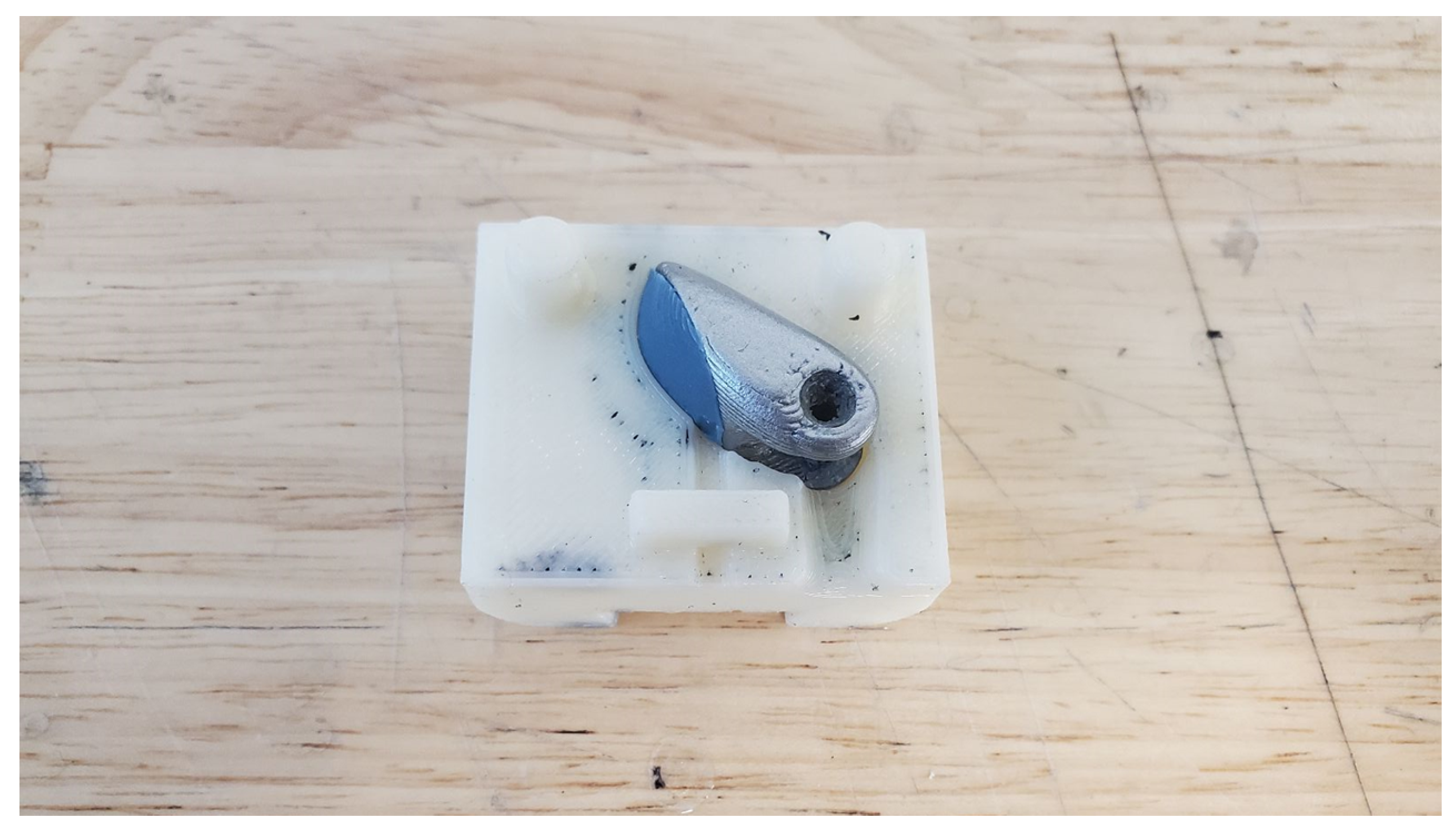 Prosthesis 05 00013 g005