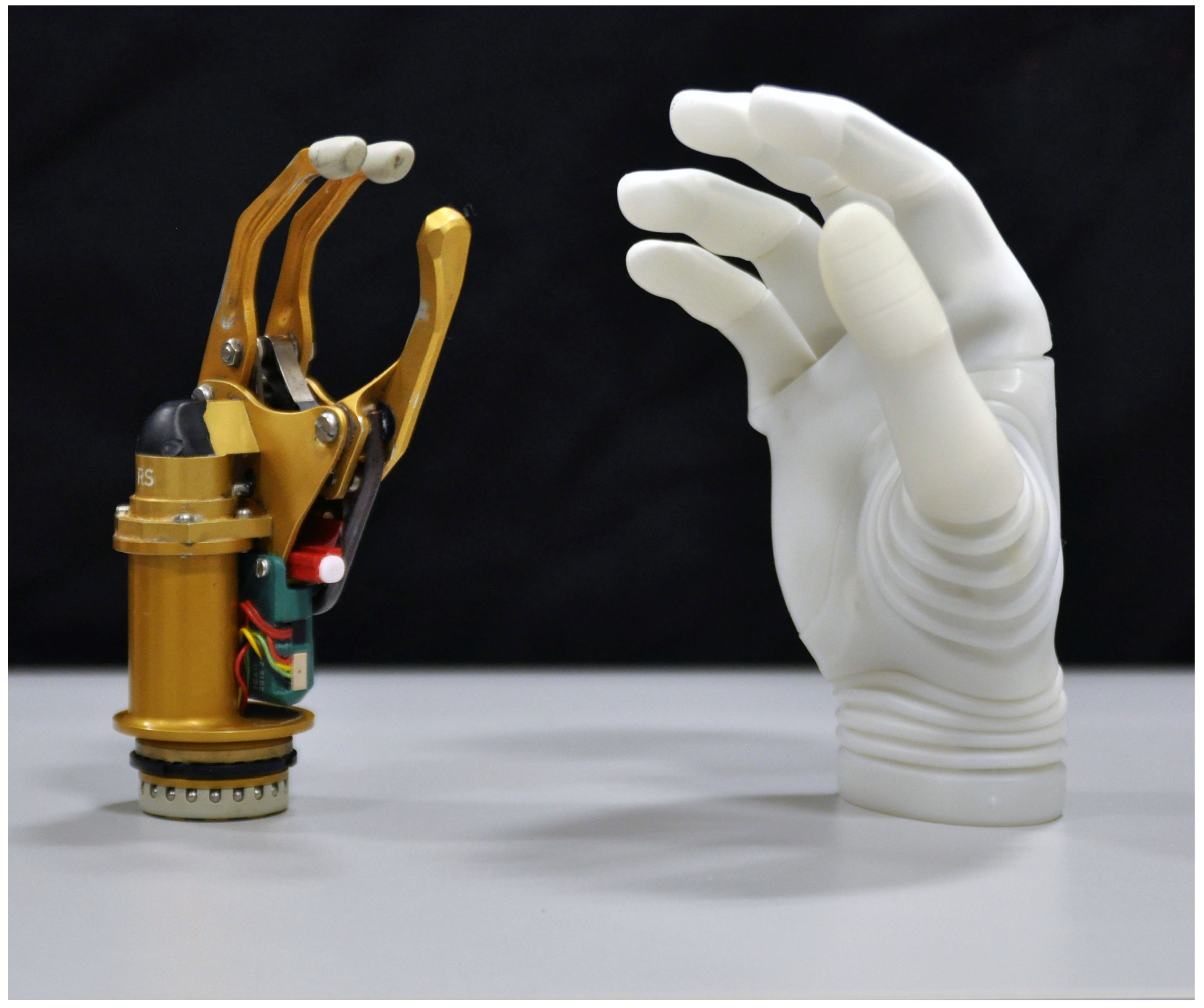 Prosthesis 05 00014 g001 Prosthesis 05 00014 g001