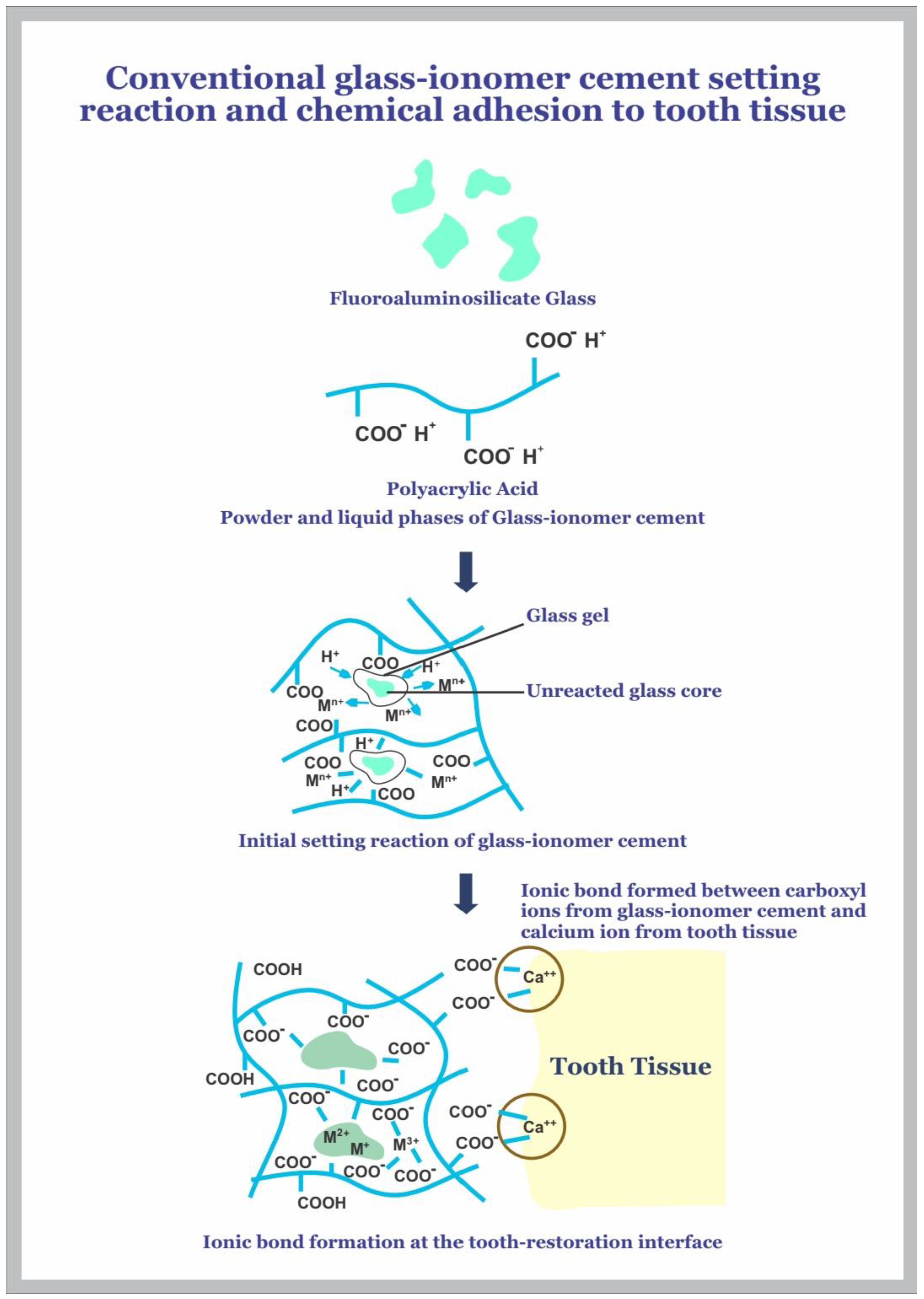 Prosthesis 05 00024 g001