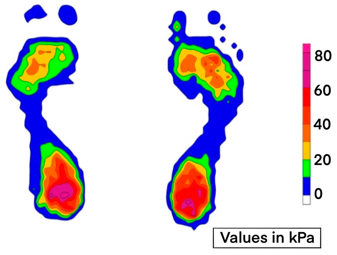 Prosthesis 05 00038 g001