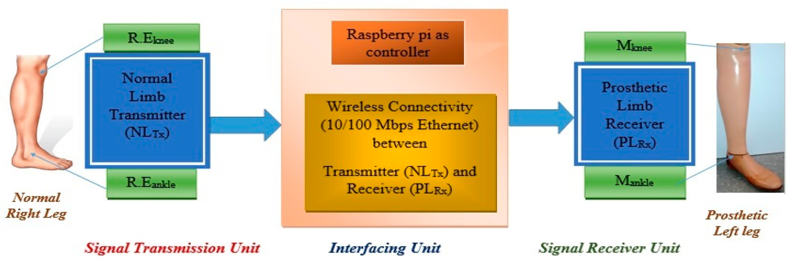Prosthesis 05 00040 g001