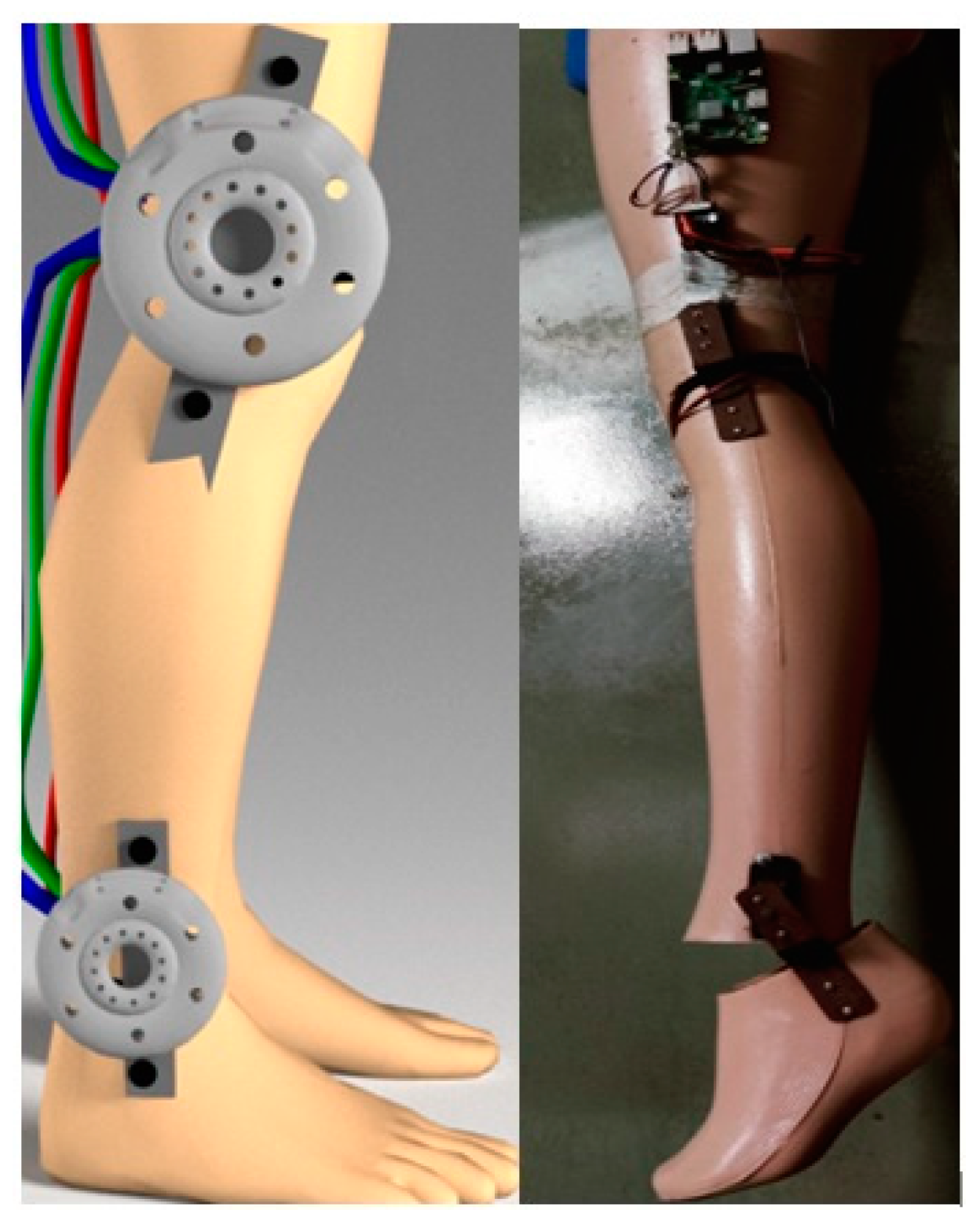 Prosthesis 05 00040 g003