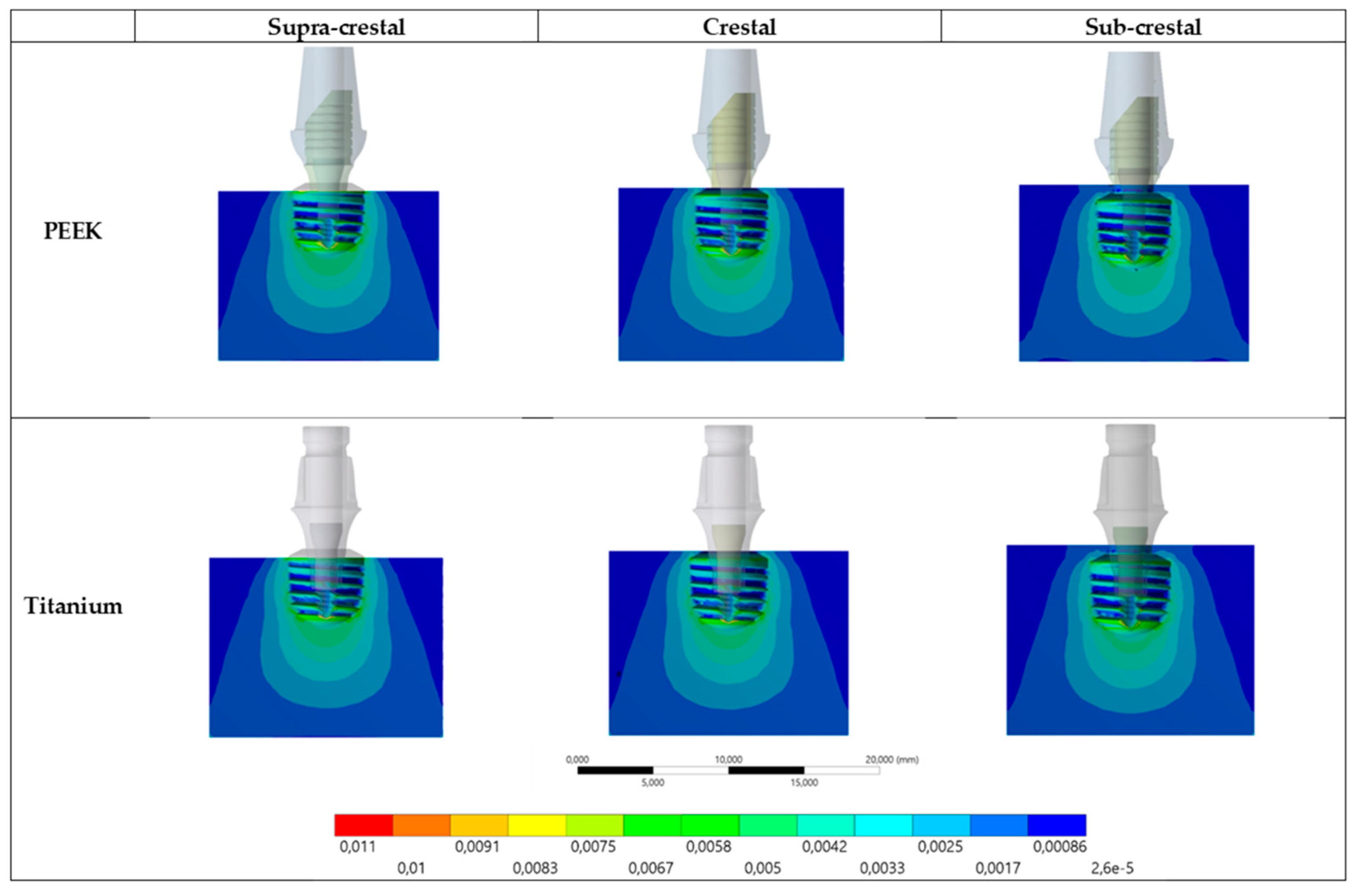 Prosthesis 05 00051 g006