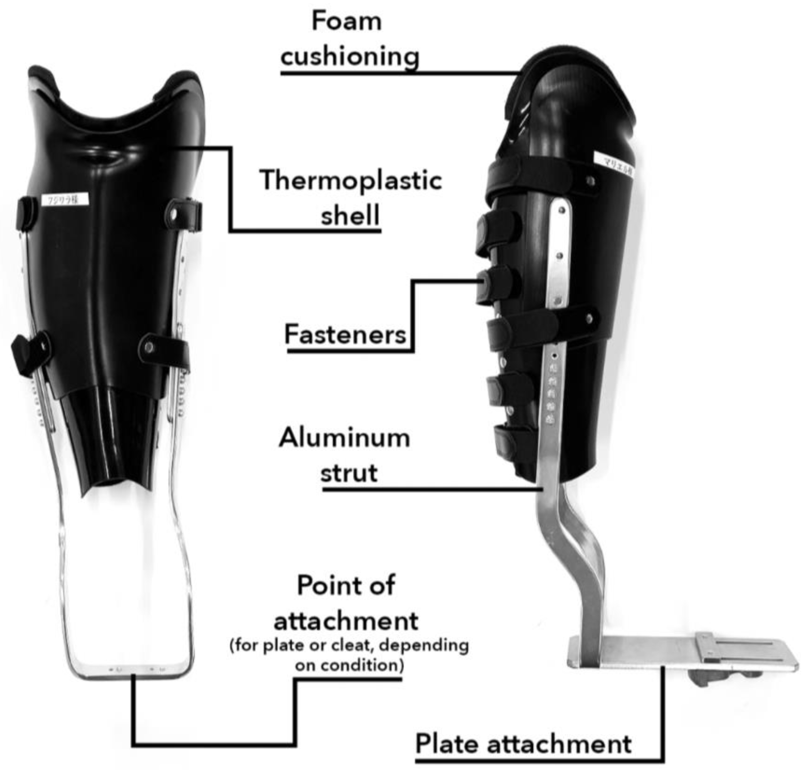 Prosthesis 05 00052 g004