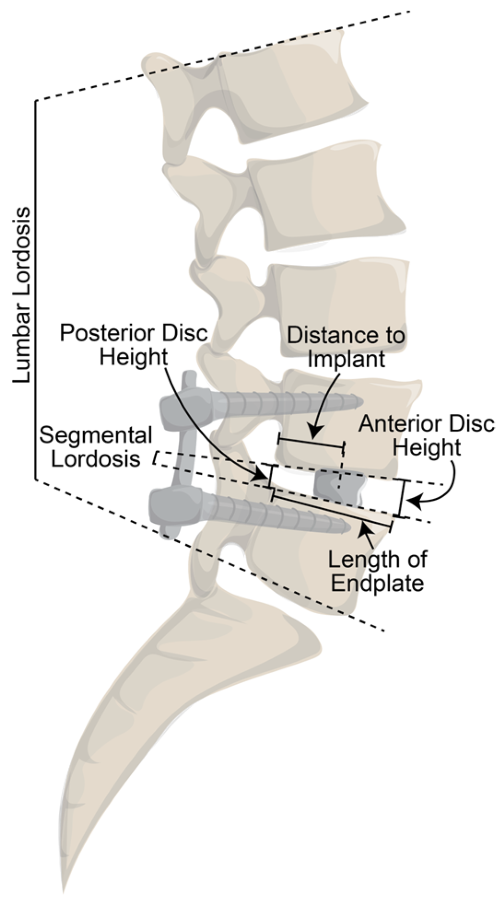 Prosthesis 05 00053 g003