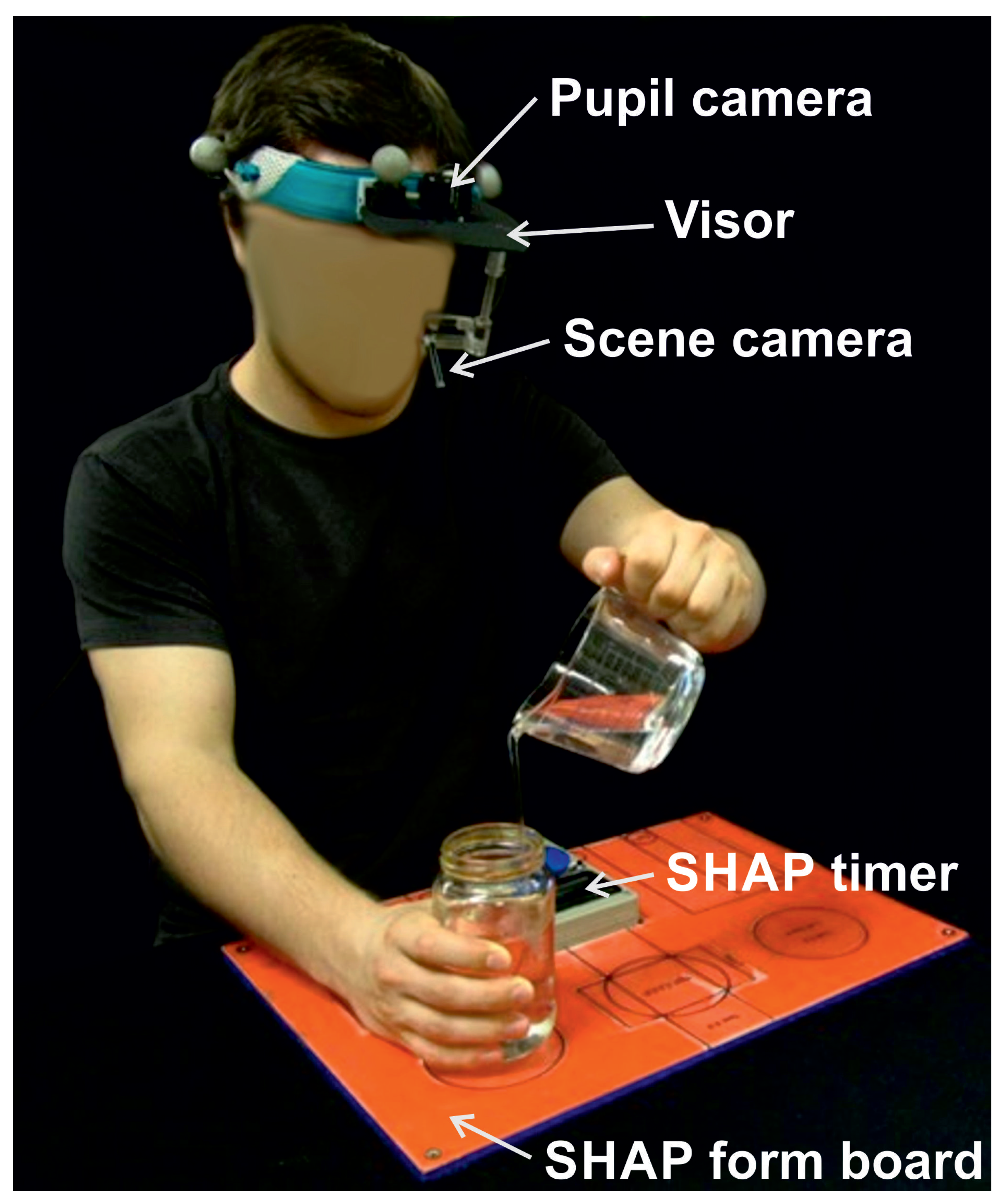Prosthesis 05 00063 g001