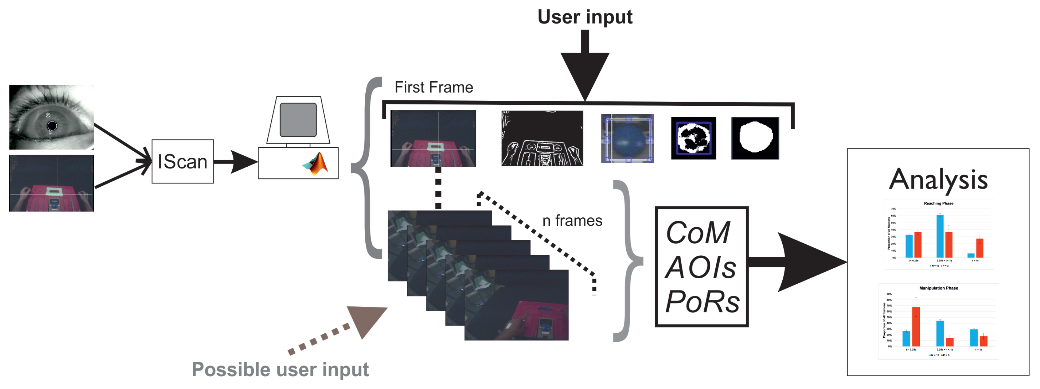 Prosthesis 05 00063 g002