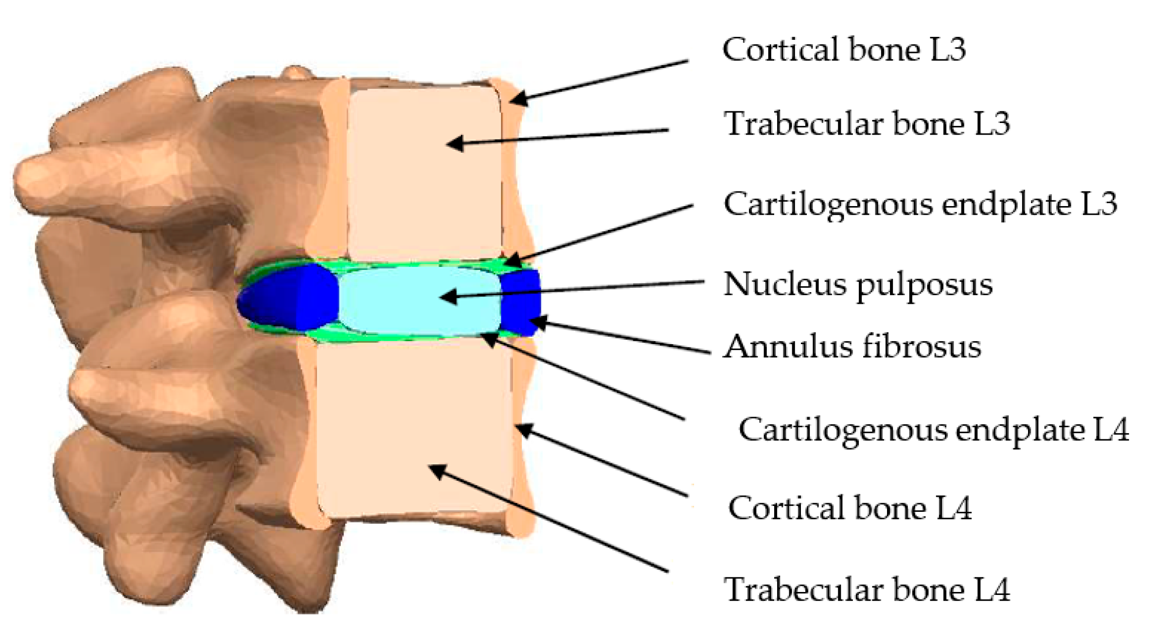 Prosthesis 05 00065 g004 Prosthesis 05 00065 g004