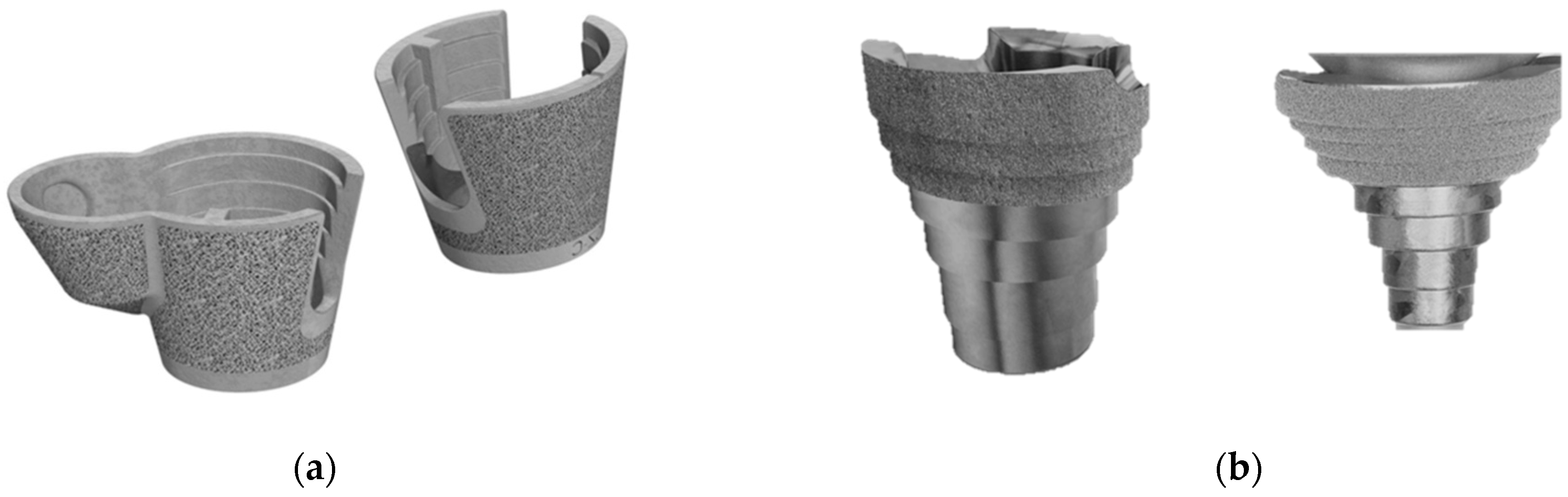 Prosthesis 05 00082 g001 Prosthesis 05 00082 g001